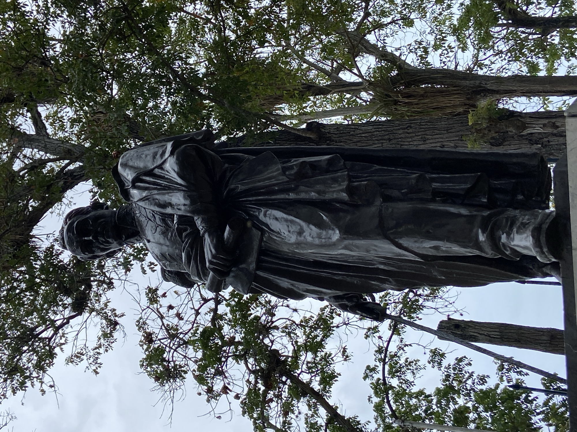 The image depicts a statue of a person set against a backdrop of trees and sky. The statue appears to be made of a dark-colored metal, potentially bronze, and is posed in a dignified manner. The environment includes mature trees with dense foliage partially obscuring the sky. A wooden beam is also visible, possibly related to the statue's support or surrounding structure. The image does not provide enough information to confirm the statue's location as Río Chico, Venezuela.