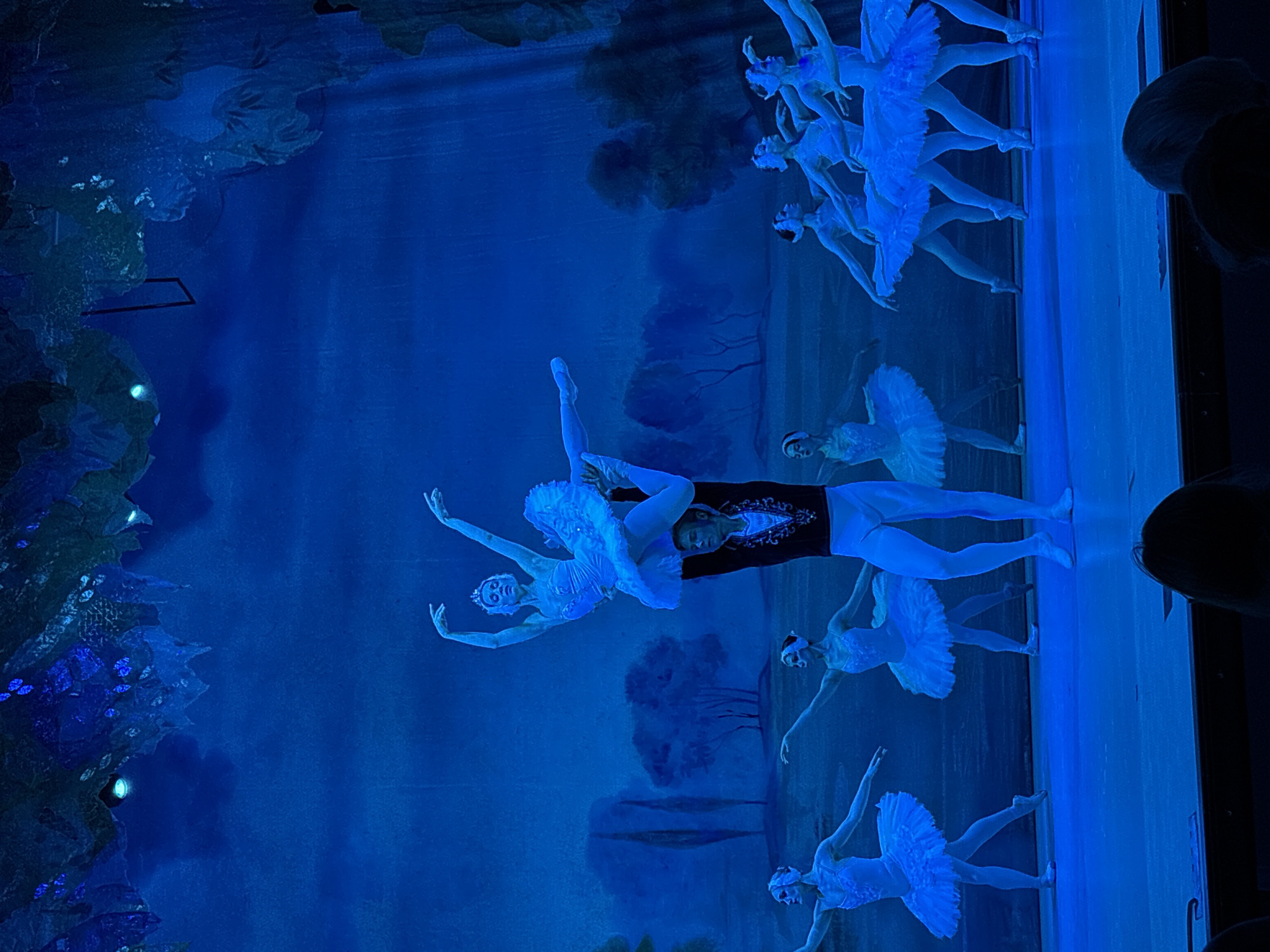 A performance on stage in Ulyanovsk, Russia is illuminated with blue light. A ballerina in a white tutu is lifted by a male dancer in black and white tights, surrounded by ballerinas in white tutus. The background is a painted backdrop of trees and a body of water. The scene appears to be Swan Lake. The audience is visible in the foreground.