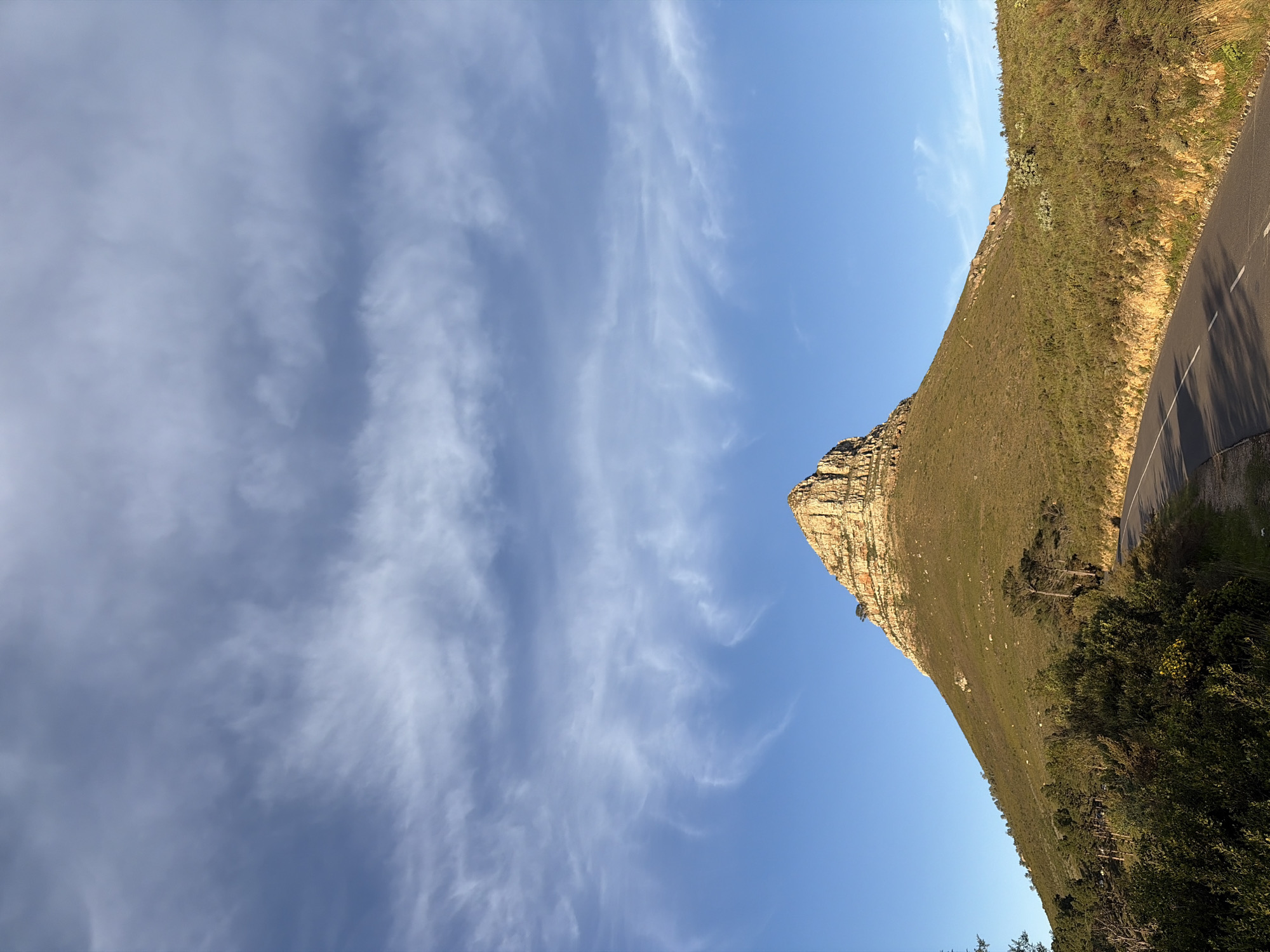 The image depicts the iconic Lion's Head mountain in Cape Town, South Africa, bathed in the warm light of a late afternoon sun. A winding asphalt road with white lane markings curves around the base of the mountain, bordered by lush green vegetation and scattered trees. The mountain itself is characterized by its distinctive flat top and rugged, rocky slopes, with sparse green growth clinging to its sides. Above, a vast expanse of clear blue sky is adorned with wispy, elongated clouds that stretch across the horizon, adding a dramatic flair to the scene. There are no people or vehicles visible in the image. The overall impression is one of natural beauty and tranquility, showcasing a prominent landmark of Cape Town.