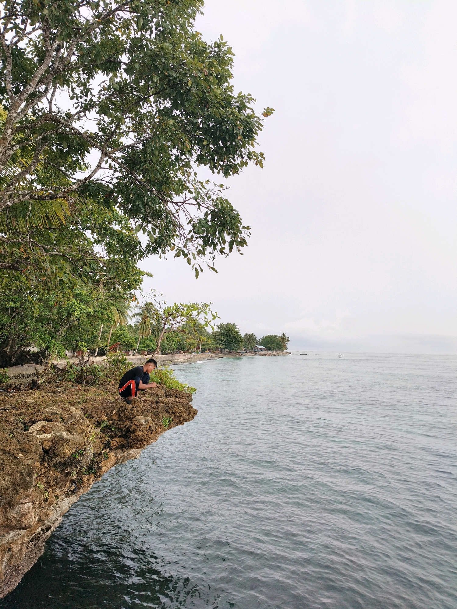 A young man in a black shirt with orange stripes on the sides of his pants crouches on a rocky cliff overlooking the ocean in Animi, Indonesia. The cliff is covered in dry grass and small green plants. The ocean is calm and a light blue-grey, with small ripples on the surface. In the distance, a line of trees and a few small buildings are visible along the shoreline, with a boat floating in the water. The sky is overcast and a pale grey. A large tree with green leaves overhangs the cliff from the left side of the image.
