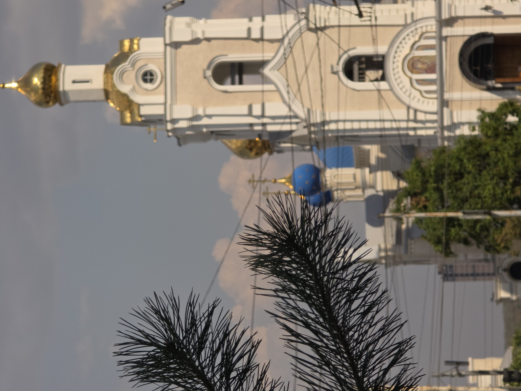 A low-angle, close-up shot focuses on the foreground of dark, needle-like palm fronds against a hazy, overcast sky. In the mid-ground and background, the blurred facade of a church with a gilded dome and blue domes is visible. The church is painted a light beige with white trim. The image is likely taken in Rostov-on-Don, Russia. A few power lines crisscross the frame, further blurring the background. The overall impression is one of a somewhat overcast day with a religious structure dominating the background.