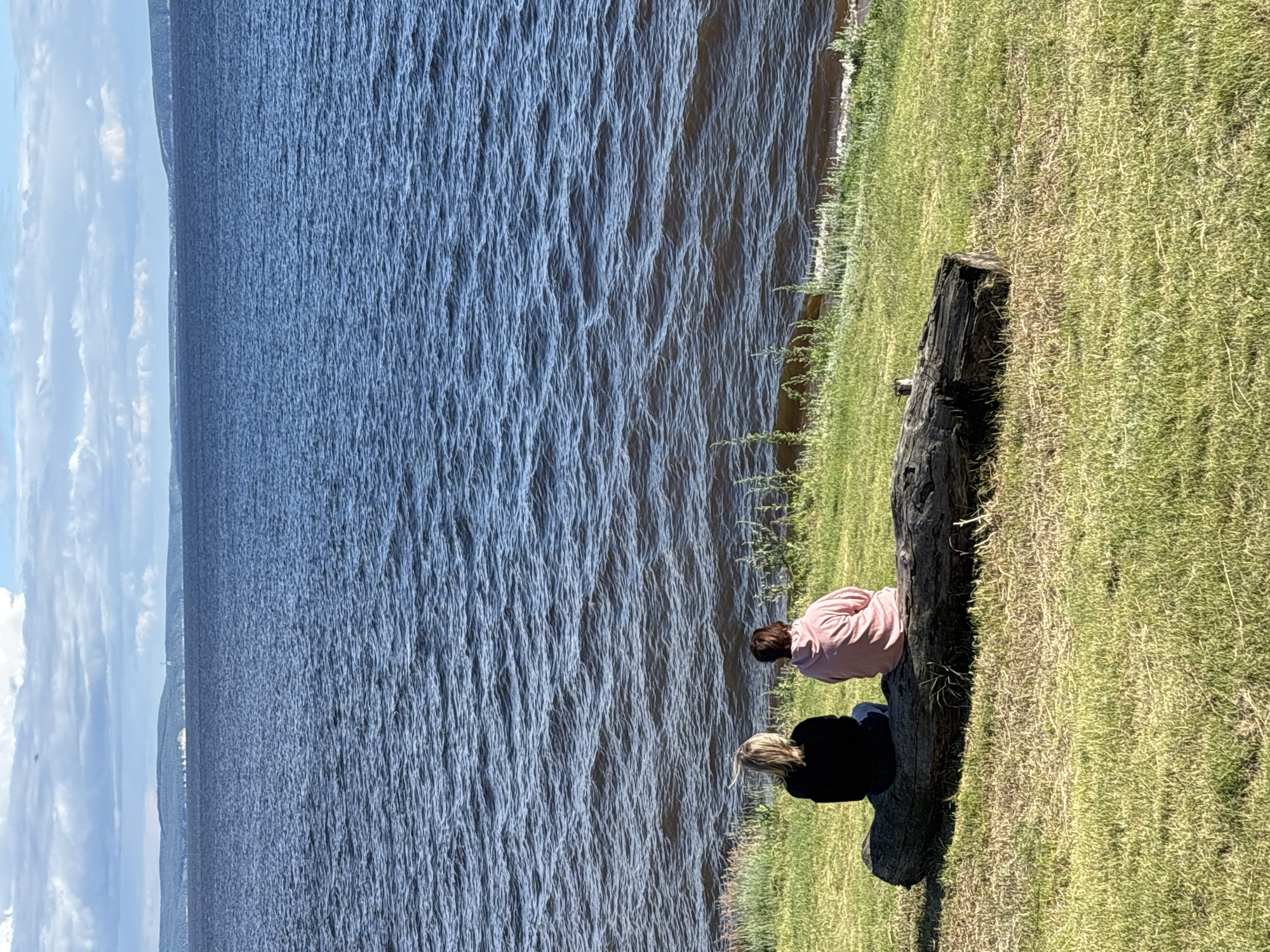 Two individuals, one with blonde hair and wearing a black top, and the other with dark hair and a pink hoodie, are seated on a large fallen log. The log is positioned on a grassy slope overlooking a wide body of dark blue water. The water is moderately choppy, with ripples visible on its surface. In the distance, a hazy, tree-covered shoreline with some lighter colored structures is visible, beyond which lies a cloudy sky. The location is the bank of the Volga River in Berezovka, Russia.