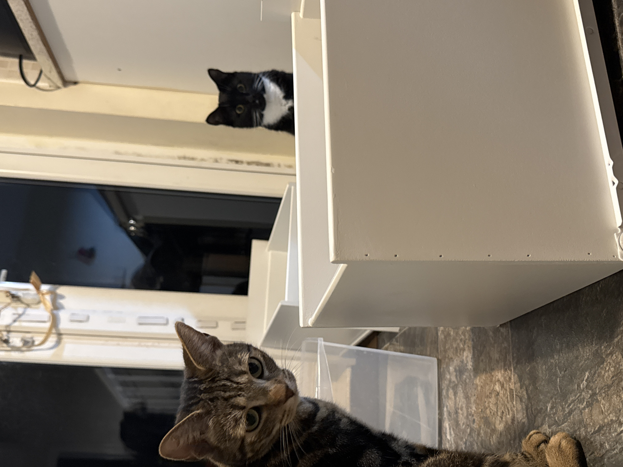 This image depicts an indoor domestic scene in Desborough, United Kingdom, featuring two felines interacting with newly assembled white storage boxes. In the foreground, positioned to the left, a tabby cat with brown and black striped fur and light-colored eyes is partially visible, oriented with its head slightly turned to the left. Its front paws rest on a dark, mottled tiled floor. Behind it and to its right, a clear plastic storage container with a visible lid is present. In the mid-ground, a white rectangular box, appearing to be a drawer component, occupies the central space. Peeking over the far edge of this box, a black and white "tuxedo" cat with prominent yellow eyes, a white muzzle, and a white chest marking is directly facing the camera. Another similar white box is visible behind the foreground box. The background features light-colored walls or cabinetry, with a dark, low-lit doorway or room opening visible further in the distance to the left, and a vertical white doorframe or panel detail behind the tabby cat. The overall lighting suggests an indoor setting with artificial illumination.