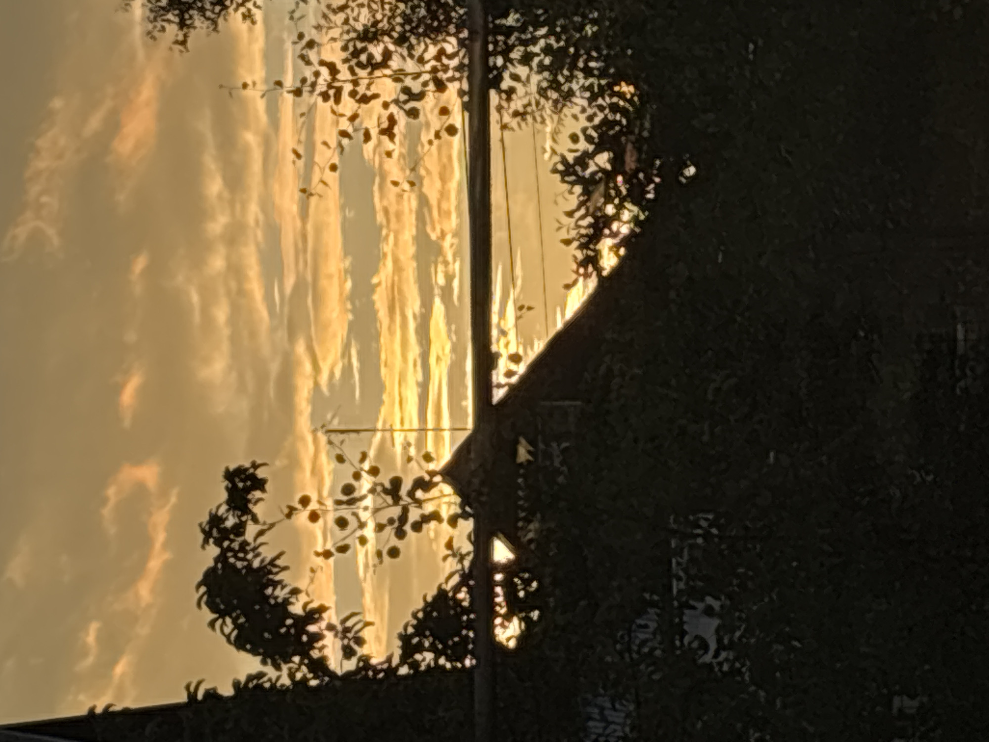 The image depicts a silhouetted view of trees and rooftops against a dramatic sunset sky. The sky is filled with streaks of orange, yellow, and white clouds, indicating the sun is low on the horizon. In the foreground, dark silhouettes of foliage frame a central opening that reveals a pointed rooftop and a horizontal element, possibly a pipe or wire, running across the frame. The overall impression is one of a natural scene at dusk, with hints of human habitation. The location is Chaikovsky, Russia.