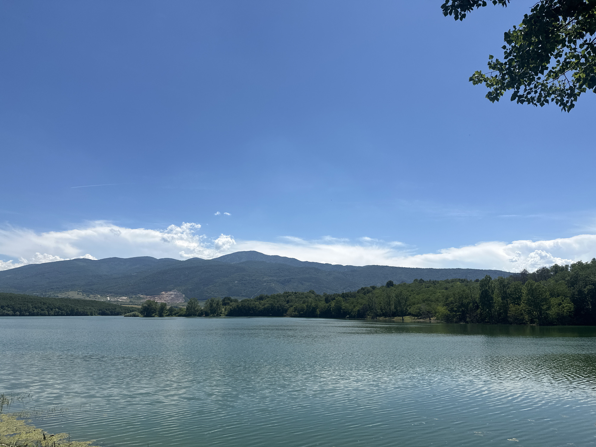 A serene landscape photograph depicts a tranquil lake under a vast, clear blue sky. The water's surface is rippled, reflecting the light and creating a textured appearance. The far shore is lined with dense, verdant trees that form a lush green backdrop against the distant, hazy mountains. In the mid-ground, a section of the mountainside shows signs of human activity, with a visible quarry or construction site. The top right corner of the image features the dappled leaves of a tree branch hanging into the frame, suggesting the vantage point is from the edge of the water, possibly from a park or recreational area. The scene is devoid of any people or animals. The overall impression is one of natural beauty and quietude, with a subtle hint of industrial presence in the landscape. This is a view of the Muldava Reservoir in the vicinity of Muldava, Bulgaria.