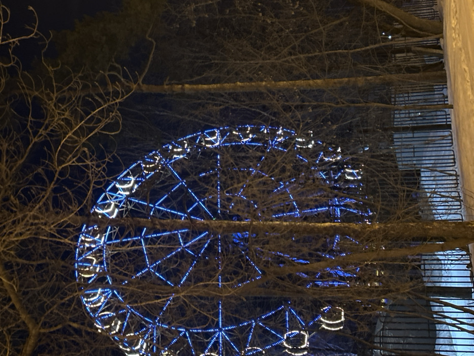 The image depicts a large Ferris wheel at night, located in Perm's Gorky Park (Central Park of Culture and Recreation named after Gorky). The Ferris wheel is extensively illuminated with bright blue LED lights outlining its structural framework, including the spokes and rim. The passenger gondolas or cabins are highlighted with distinct white or light-colored lights, creating a circular pattern around the rim.
In the foreground, numerous bare deciduous trees with intricate, dark branch networks partially obscure the Ferris wheel. To the right, taller, darker trees, possibly coniferous, rise against the night sky. The ground in the immediate foreground is covered in undisturbed snow, reflecting a subtle bluish hue from the Ferris wheel's illumination. A dark metal fence, composed of vertical bars, runs horizontally across the lower middle section of the image, positioned behind the closest foreground trees and in front of the snow-covered area. The sky above is dark, indicating nighttime conditions. No people or active interactions are visible.