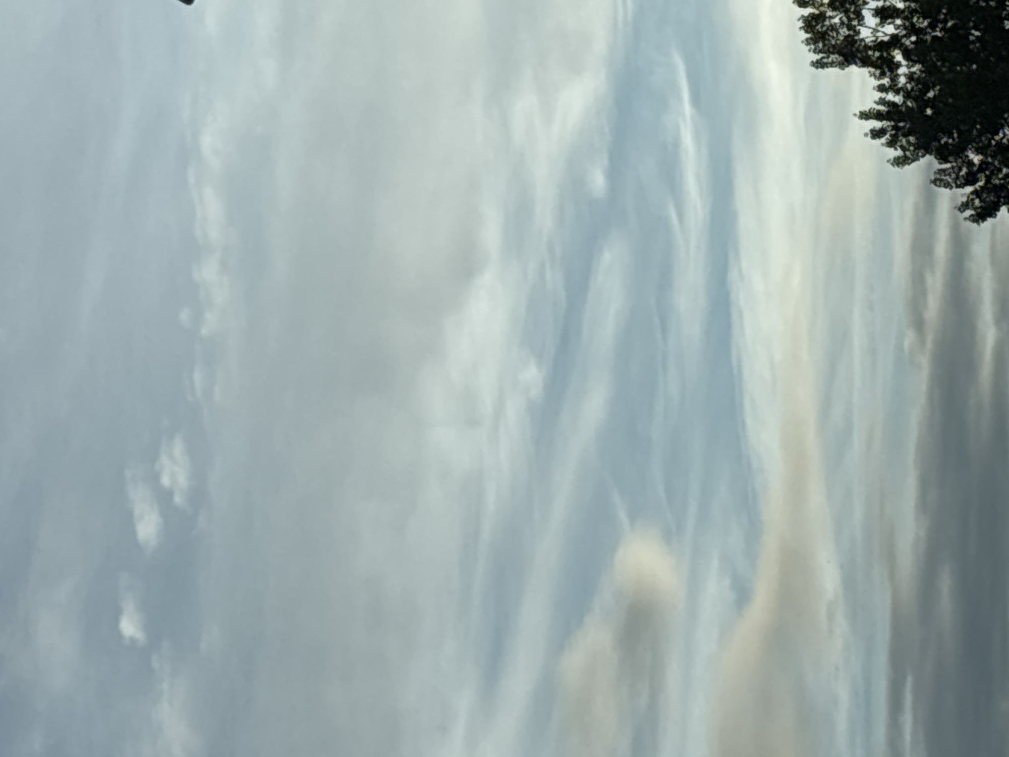 The image depicts a cloudy sky with streaks of light blue and grey, interspersed with wispy white clouds. The bottom right portion of the image features the upper branches of a dark green tree, with its leaves appearing dense and textured. The overall scene suggests an outdoor environment, possibly a park or residential area, with the sky dominating the frame. There are no people or specific landmarks visible in the image. The lighting suggests it could be late afternoon or early morning. No specific details about South Staffordshire, United Kingdom are identifiable from the image.