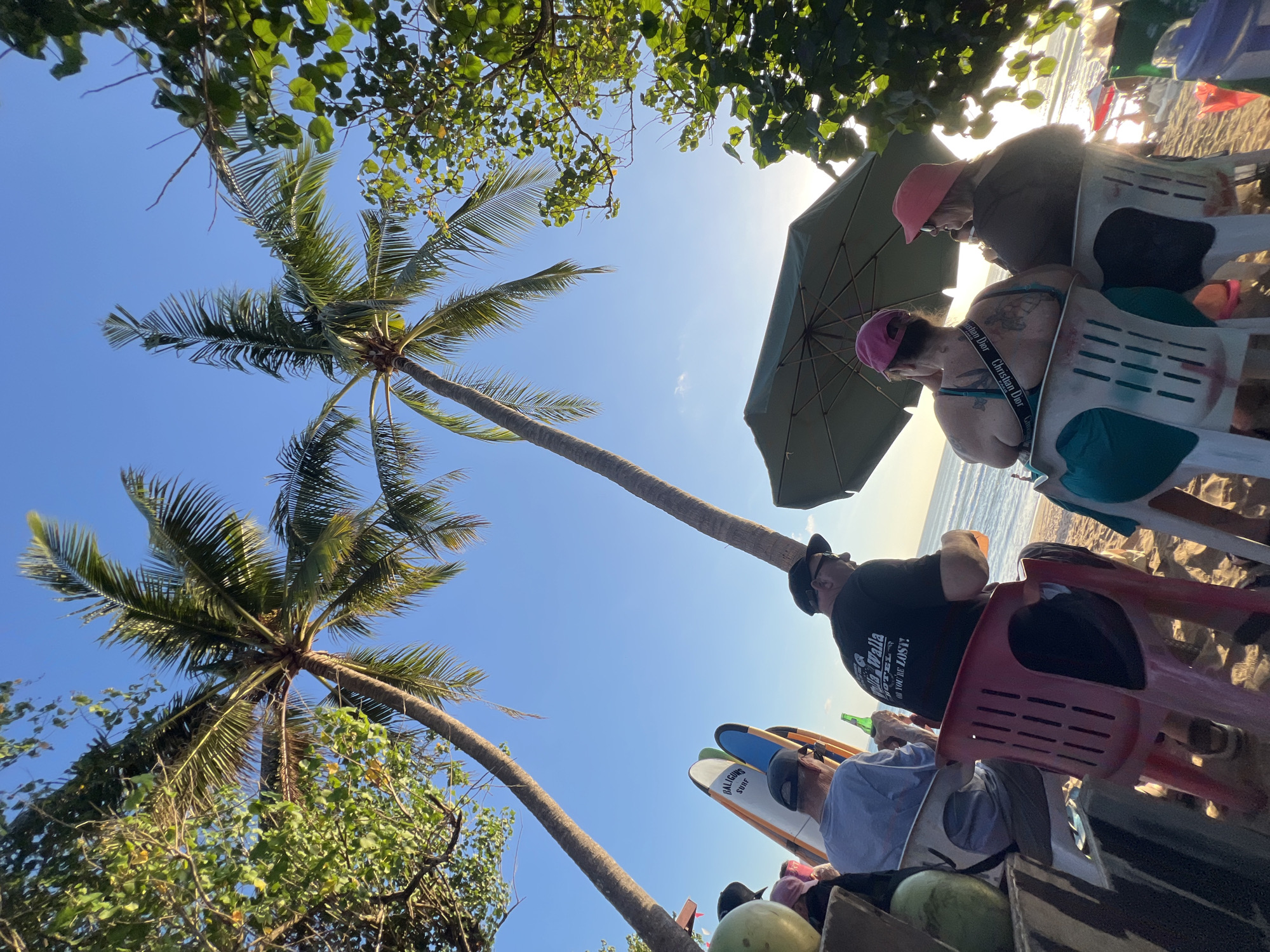 In Kuta, Indonesia, a group of people are seated on chairs on a sandy beach, facing the ocean. Two tall palm trees frame the scene against a clear blue sky. Several surfboards are propped up in the sand behind some of the individuals. In the foreground, a person in a black t-shirt holds a green bottle, and next to them, another person in a blue t-shirt is seated. Further to the right, two individuals are seated under a green umbrella, both wearing hats. The ocean is visible in the background, with gentle waves lapping the shore. Sunlight filters through the palm fronds and leaves of nearby trees, casting a warm glow on the scene.