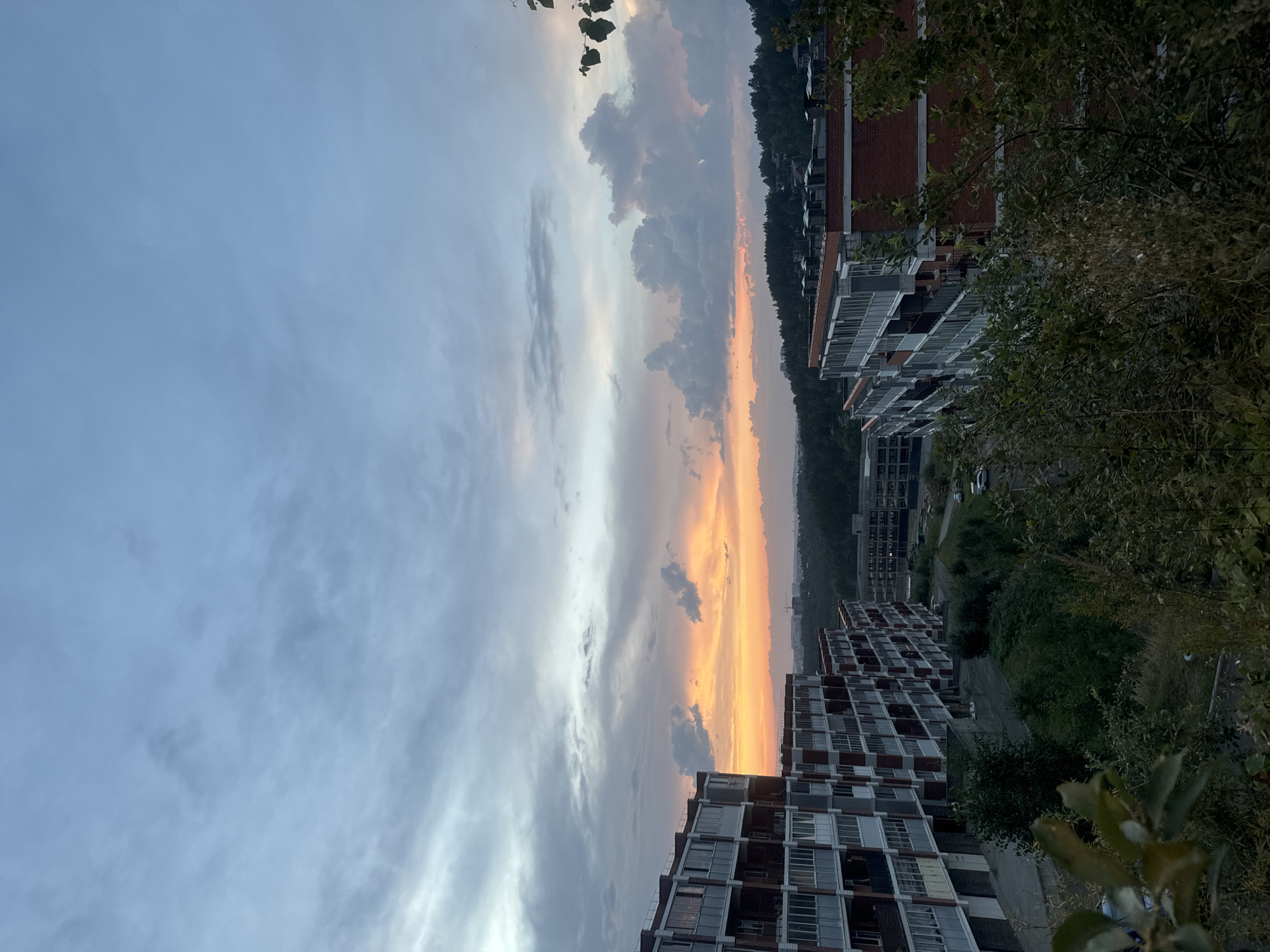 The image captures a twilight view of apartment buildings in Markova, Russia. The sky displays a dramatic mix of clouds, with a band of orange and yellow hues near the horizon suggesting the setting sun, while the upper portion of the sky is a muted blue and grey. Two multi-story apartment buildings, characterized by their red brick and white facade elements, dominate the foreground. The building on the left is seen from a slight angle, showcasing its numerous balconies. The building on the right is also partially visible, with its red brick exterior prominent. Beyond the buildings, a dense line of dark green trees stretches across the middle ground, indicating a forested area or parkland. In the far distance, the silhouette of more buildings and possibly construction cranes can be seen against the fading light. The foreground is filled with dark, leafy vegetation, partially obscuring the view of the buildings and ground level. No people are visible in the frame. The scene appears to be an urban or suburban landscape transitioning into evening.