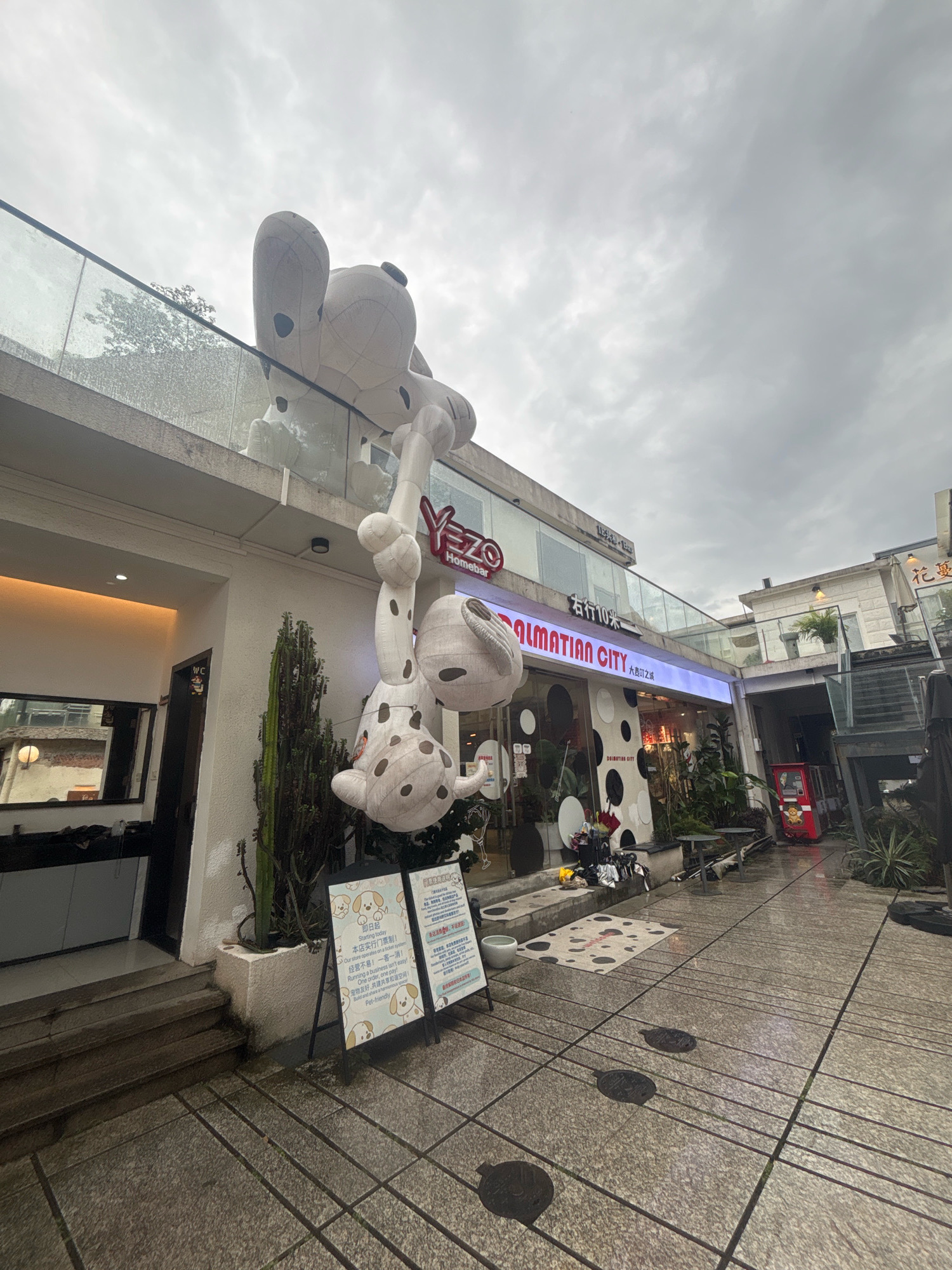 The image depicts an outdoor commercial area in Panyu District, China, on a cloudy day. A large, inflatable Dalmatian dog sculpture is prominently displayed, hanging upside down from a balcony and reaching towards the ground. The sculpture is white with black spots. Below the balcony, a building facade features a store with a sign that reads "Yezzo Homebar" and another sign with illuminated text "DALMATIAN CITY". Several tables and chairs are set up outside the establishment, and a red vending machine is visible further down the walkway. A narrow, covered walkway with a stone floor leads into the distance. The environment appears wet, suggesting recent rain, with reflections visible on the ground. There are no people clearly visible in the immediate foreground. Signs in both English and Chinese are present, indicating a public commercial space.