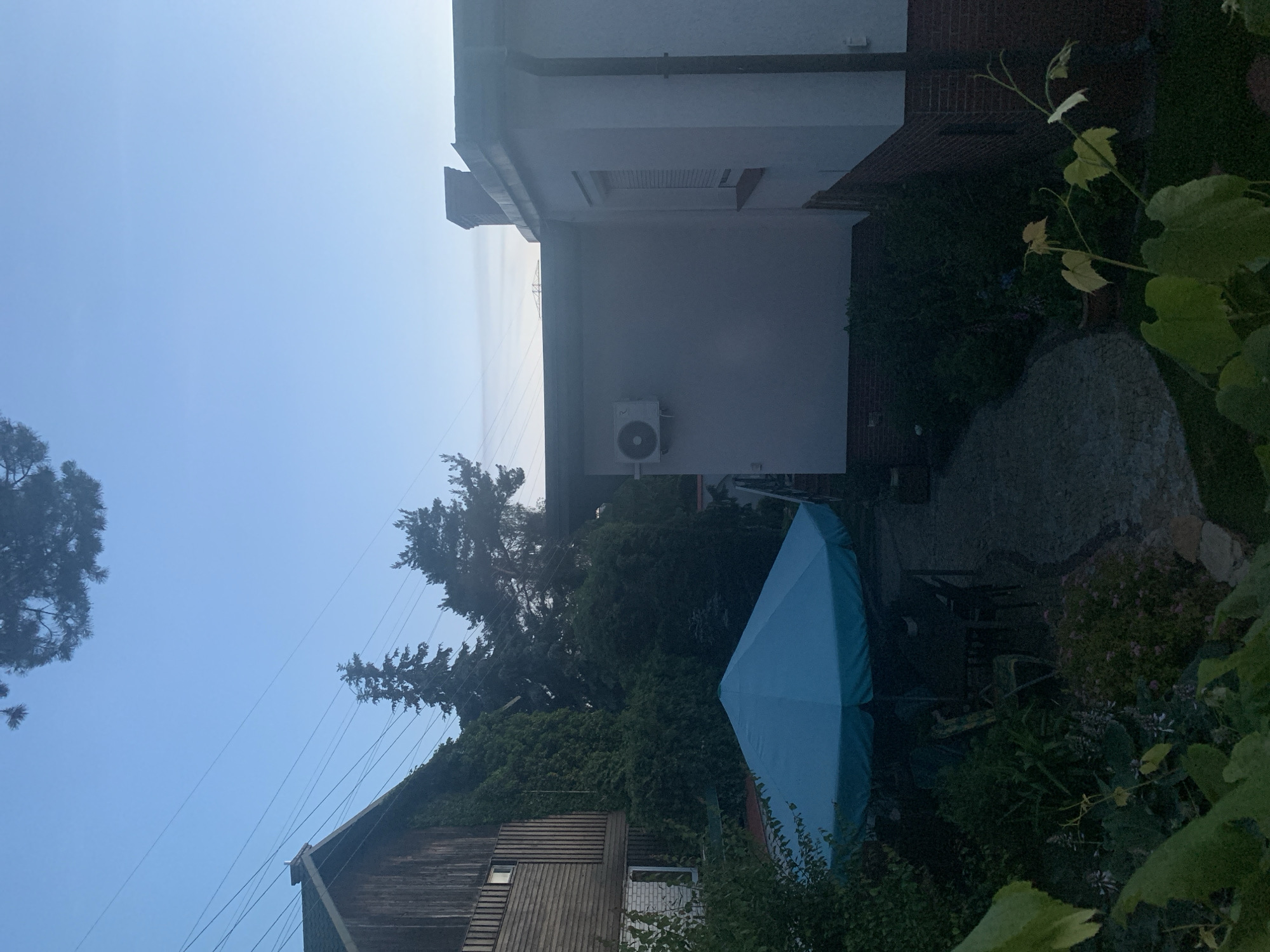An outdoor scene depicts a backyard with a wooden house on the left and a white-painted building on the right. The sky is a clear, pale blue, suggesting early morning or late evening. In the foreground, lush green foliage partially obscures the view.
Dominating the middle ground is a large, light blue umbrella, open and casting a shadow over a patio set with chairs and a table. A paved walkway leads through the garden. The wooden house features a gabled roof and is partially covered in ivy. The white building has a dark-colored roof and a red brick foundation. An air conditioning unit is mounted on the exterior wall of the white building. Trees and various types of vegetation are scattered throughout the yard. Overhead power lines are visible against the sky. There are no people present in the image.