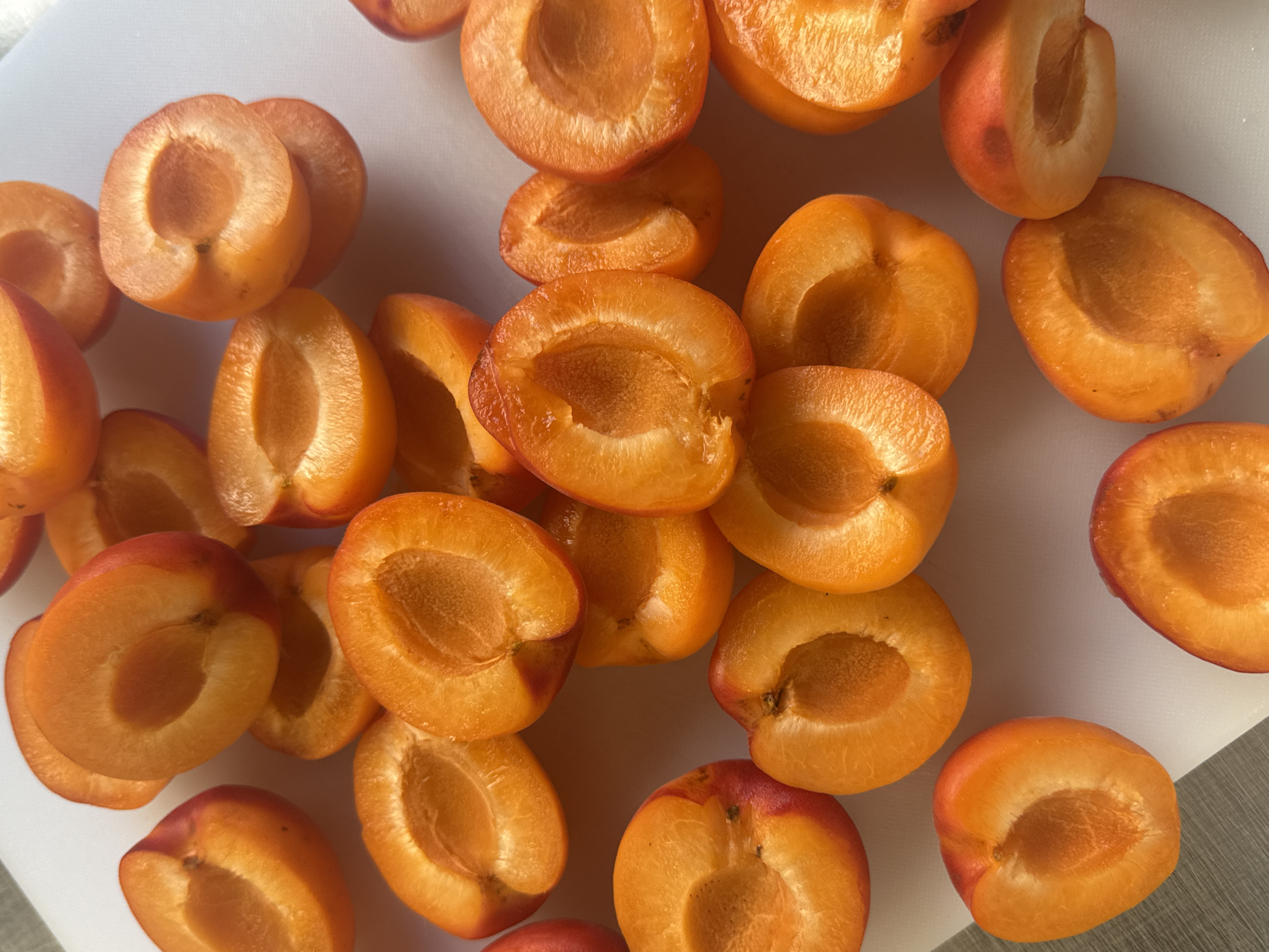 The image shows approximately 25 halved apricots on a white cutting board, possibly in a kitchen setting. The apricots are a vibrant orange color, some with a reddish blush on the skin. The cutting board has a slight gleam, suggesting a smooth surface. The background includes a glimpse of a grey countertop. There is no evidence in the image to indicate a specific location in the city of Vracar Urban Municipality, Serbia. No people are visible in the scene. The primary objects are halved apricots on a cutting board. The main action is the presentation of the fruit. There are no evident interactions beyond the arrangement of the fruit. The environment is domestic, likely a kitchen.