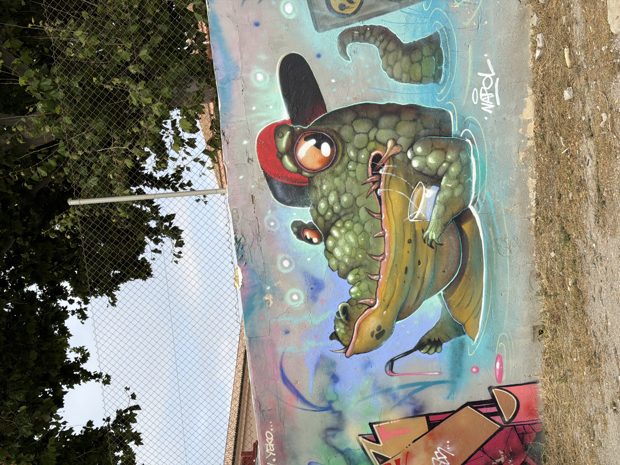 A detailed graffiti mural adorns an outdoor wall in an urban environment. The mural features a cartoonish green alligator wearing a red baseball cap backward, with large, expressive orange eyes. The alligator is depicted in water, holding a golf club and a small cup. In the background, abstract colorful patterns and bubbly elements are visible, along with a section of chain-link fence and trees overhead. To the right of the alligator, a coiled green tail emerges from the water, and to the far right, a yellow square with a smiley face is partially visible. The bottom of the mural is a concrete wall with dry grass and dirt in the foreground, suggesting a neglected or abandoned area. The graffiti includes the signatures "V.YEKO..." and "NAPOL".