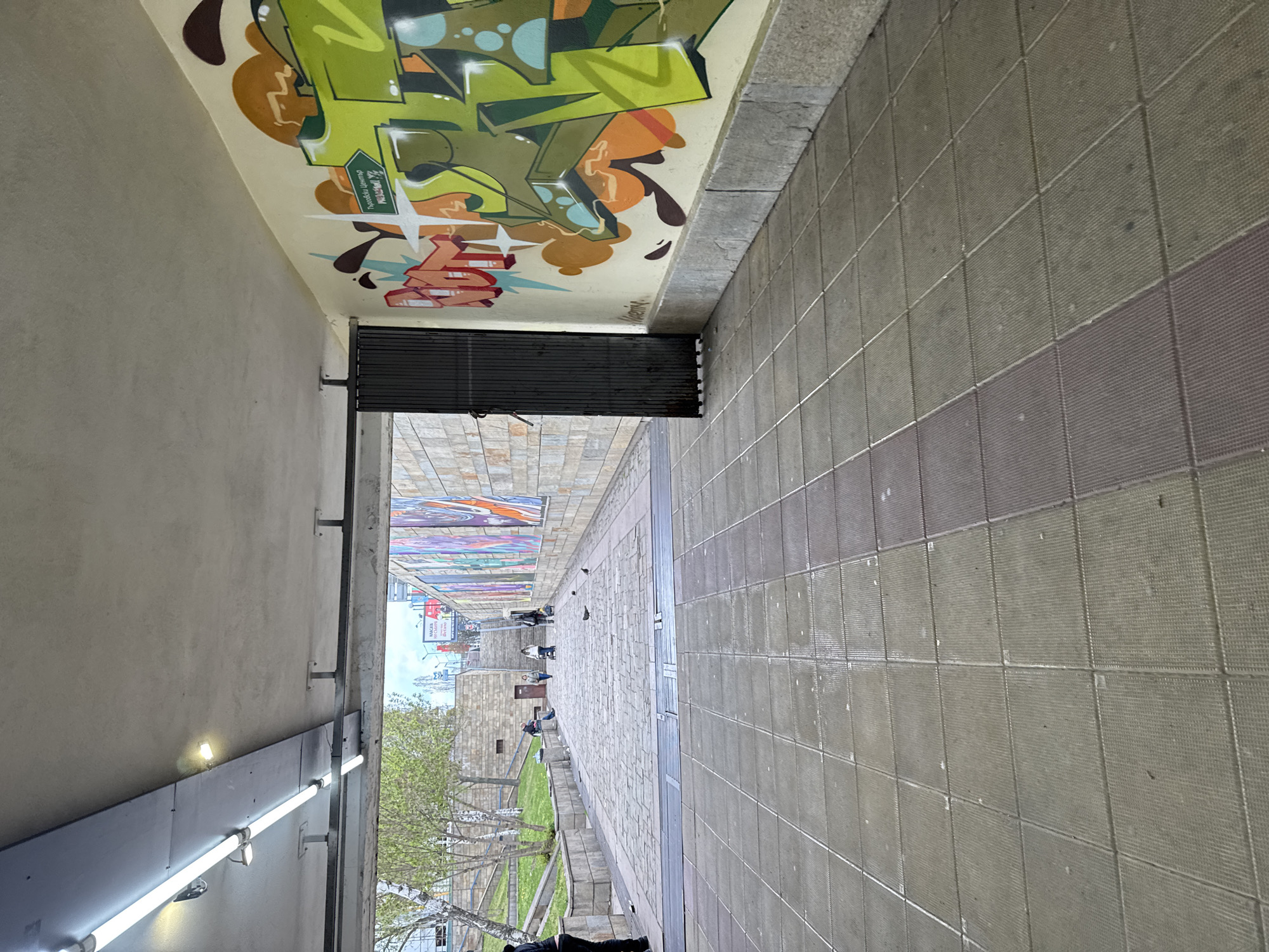 The image, taken in Sofia, Bulgaria, shows a pedestrian underpass or covered walkway opening into an outdoor public space. The perspective is from within the covered section, looking out.
The ceiling of the covered area is extensively covered in colorful graffiti, primarily featuring bold green and orange abstract letters and shapes, with highlights of white and blue. Text partially visible within the green graffiti includes "Ploceloc 1000", "Palace", and "Wanna Go Yea". A smaller tag, "Veselin", is also discernible. The left wall of the walkway is plain and light-colored, with a dark panel mounted near the top housing several illuminated fluorescent tube lights. The right wall is tiled in a grid pattern of textured greyish-green and brownish-purple squares. A dark metal bench or barrier is situated beneath the graffiti on the left.
Beyond the covered section, an open-air paved pathway stretches into a park area. Several people can be seen walking or sitting on benches in the distance, and a few pigeons are on the ground. The park features green grass and trees with distinctive light-colored trunks, possibly birch, and sparse foliage, suggesting springtime. In the far background, urban buildings and a billboard are visible; the billboard displays text like "VANGA" and "DRY CLEANING".
The scene is set during the daytime, likely under an overcast sky as the light is diffused with no harsh shadows. The overall atmosphere is calm, depicting an everyday urban environment.