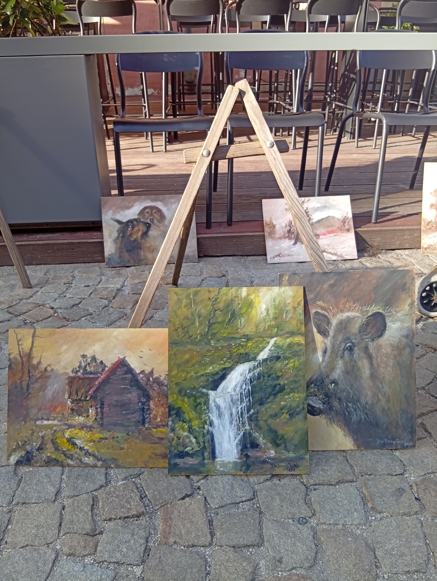 The image depicts an outdoor display of paintings, likely at a market or exhibition, situated on a cobblestone surface. In the background, a row of high chairs and a counter suggest a cafe, bar, or restaurant setting. The paintings themselves are varied in subject matter, featuring a rustic cabin in a landscape, a waterfall in a lush forest, a portrait of a wild boar, and two dogs looking upwards. One of the paintings is propped on a wooden easel. The scene appears to be in an urban environment, potentially in Wrocław, Poland, given the cobblestone paving and the presence of outdoor seating commonly found in European cities. The lighting suggests it is daytime, with shadows cast by the chairs and paintings. There are no people clearly visible in the frame, but the arrangement of the paintings implies their recent presence or imminent return.