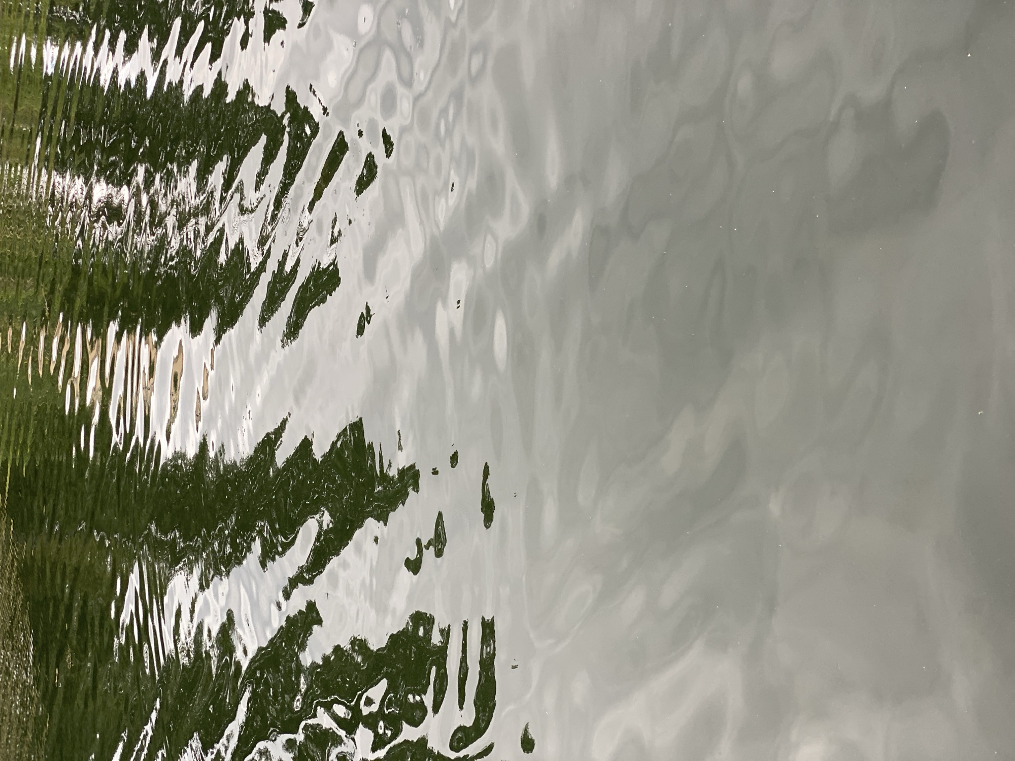 The image shows a close-up view of water with reflections of trees and sky. The water is rippled, creating distorted images of the surroundings. The top portion of the image shows darker green reflections, likely from trees, interspersed with lighter, brighter reflections that suggest sunlight or a brighter sky. As the image moves down, the reflections become more diffused and indistinct, blending into a smoother, grayish-green hue, suggesting deeper water or a more uniform sky reflection. There are no people, objects, or actions visible in the image; it is solely focused on the abstract patterns created by the water's surface and its reflections. The location in Shostka, Ukraine cannot be determined from the image itself.