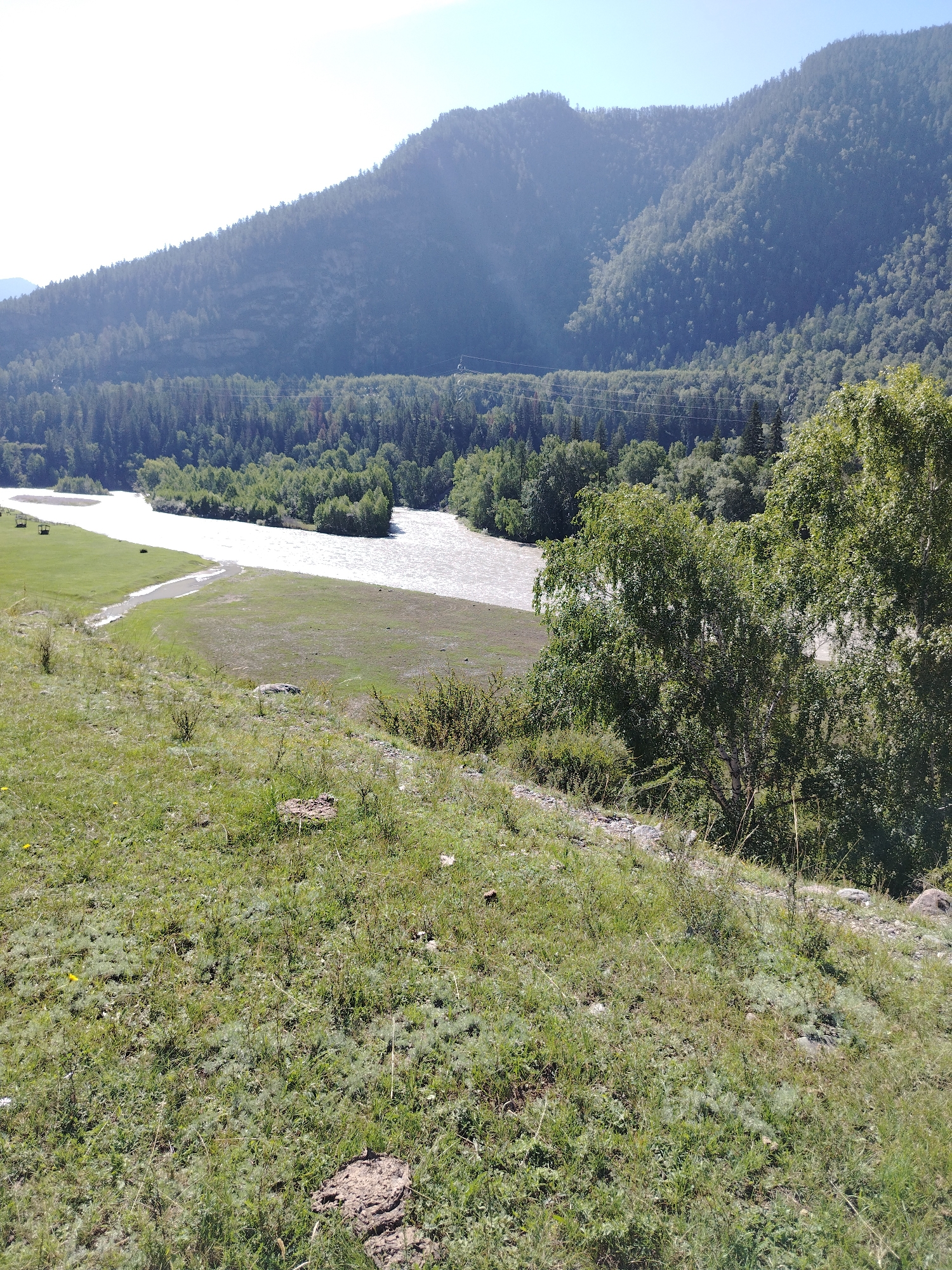 The image depicts a landscape scene in the vicinity of Iodro, Russia. A wide, calm river flows through a valley, bordered by lush green forests. The terrain slopes upward from the riverbank, covered in grass and sparse vegetation, leading towards a densely forested mountainside. Power lines are visible spanning across the valley. The sky is clear and bright, suggesting a sunny day. In the foreground, the grassy slope is dotted with small bushes and some dried organic matter. The overall scene conveys a natural, somewhat remote environment.