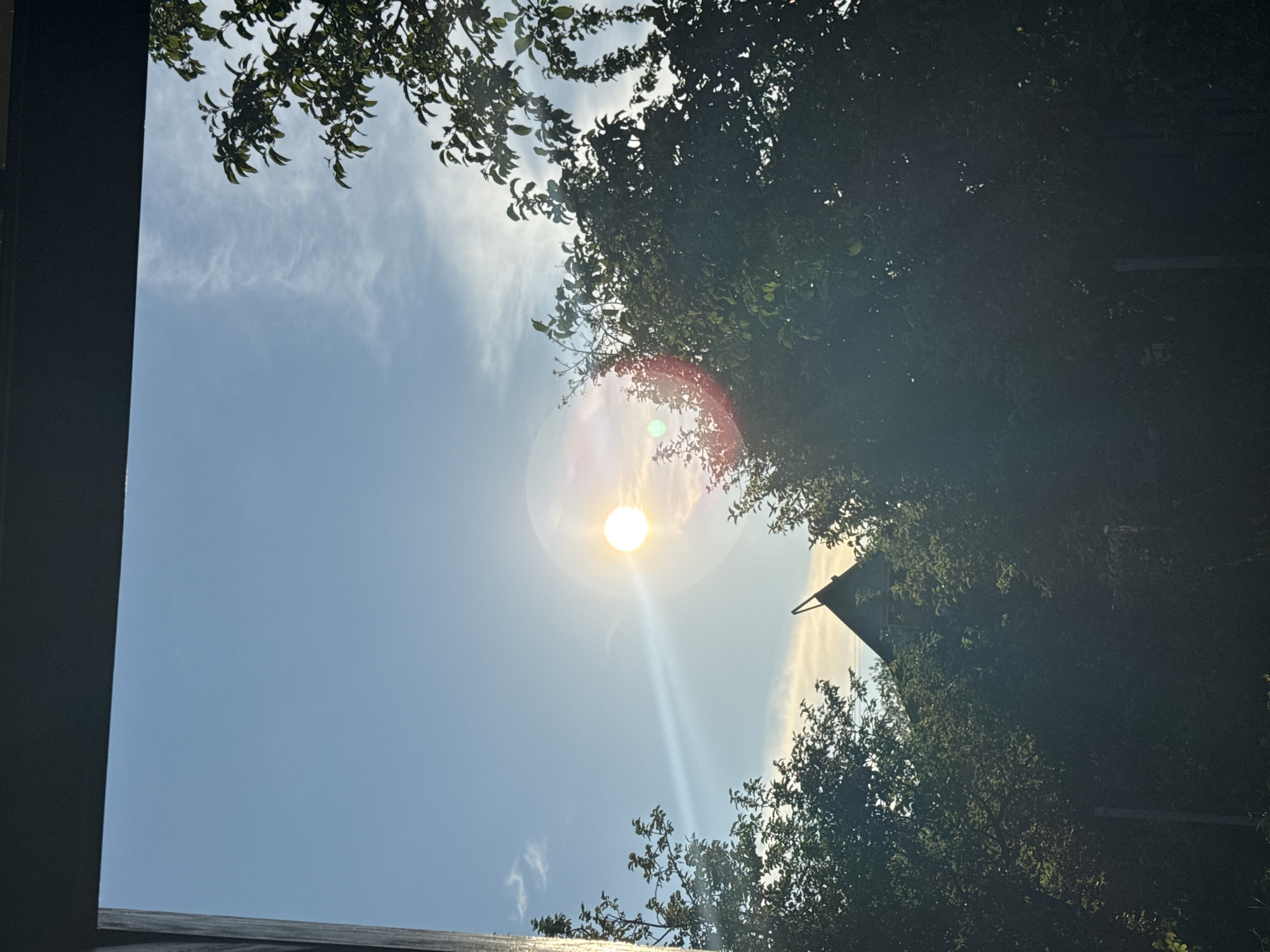 The image is an outdoor, eye-level shot looking up through trees at a bright sun in a blue sky. The sun is positioned in the upper left quadrant, and a lens flare emanates from it, casting a streak of light across the sky. Wispy clouds are visible in the sky. In the lower half of the image, the dense green foliage of trees frames the view. The peak of a dark-colored, triangular roof of a building is visible through a gap in the trees. The setting appears to be a rural or suburban area with vegetation and a residential structure.
