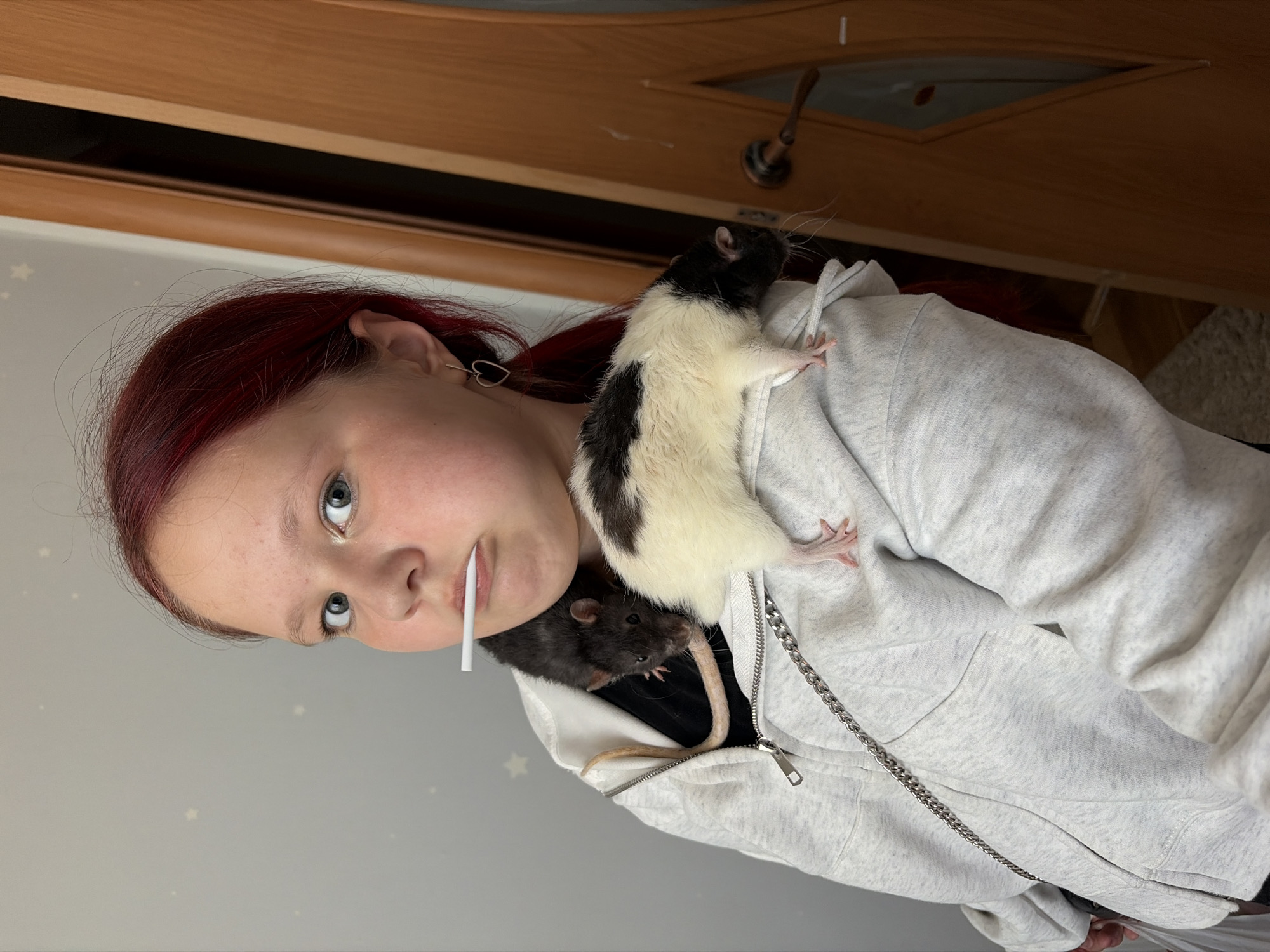 A young person with red hair and light skin is shown from the shoulders up. They are wearing a light gray hooded sweatshirt with a metal zipper and chain detail on the chest. A white lollipop is held in their mouth. A black and white rat is perched on their right shoulder, and a dark gray rat is nestled inside the open sweatshirt. The background includes a door and a wall with small star decorations. There is no information to confirm the location is in the city of Chaikovsky, Russia.