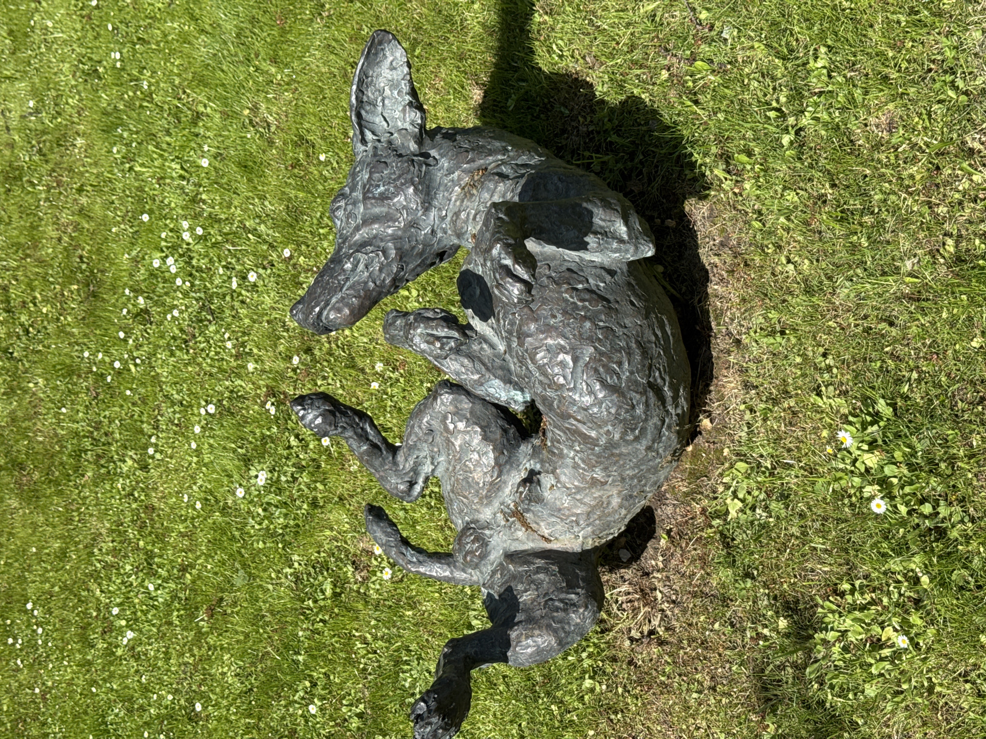 The image shows a bronze statue of a dog lying on its back, with its legs in the air, placed on a patch of green grass interspersed with small white flowers. The dog is the primary object. Its form suggests a playful or relaxed pose. The statue is in the grass. The grass and flowers form the environment. The location is not identifiable as being in Moscow, Russia. No people or interactions are depicted.