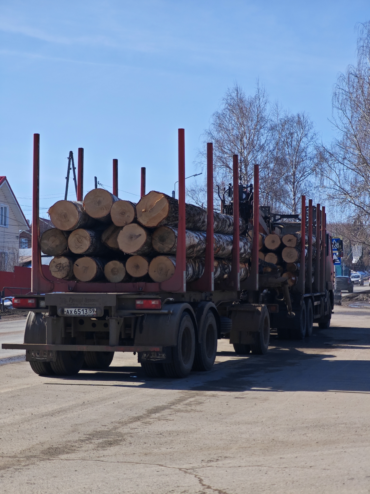 The image shows a logging truck on a road in what appears to be a residential area. The truck is loaded with logs. The license plate of the first trailer is AX 6513 59, indicating registration in Russia. Buildings and trees are visible in the background, and other vehicles can be seen on the road. The picture was probably taken in Chaikovsky, Russia.
