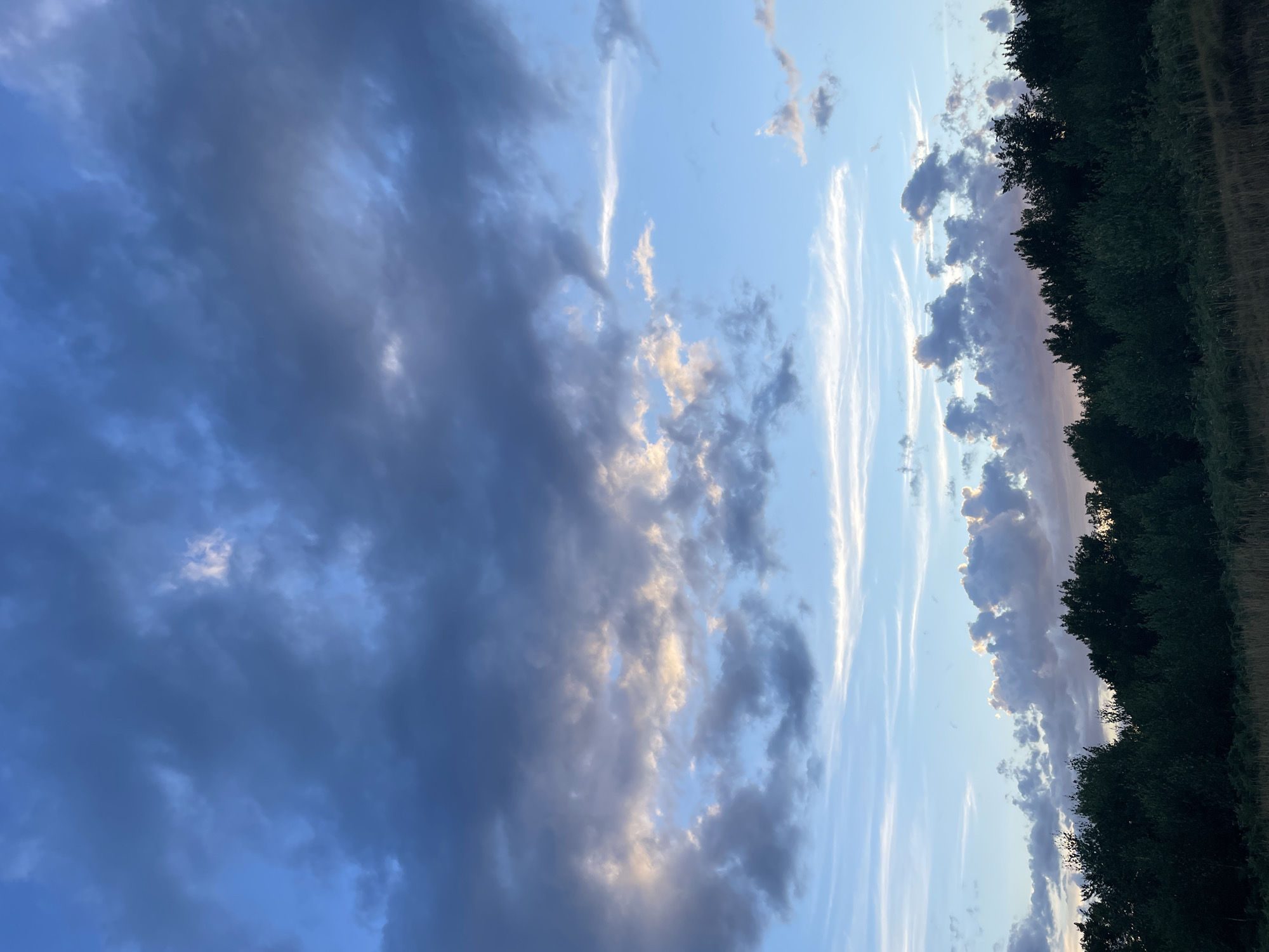 The image depicts a sky with dramatic clouds, varying in shades of blue, gray, and touches of white and gold from what appears to be sunset or sunrise light. The lower portion of the image shows a dark, silhouetted line of trees, likely a forest or dense woodland, bordering a field with dry grass in the foreground. The scene is devoid of any people or specific landmarks that would indicate its exact location within Rokosovo, Ukraine, other than the general description of a rural or natural landscape. The lighting suggests a time of day with low sun angles.