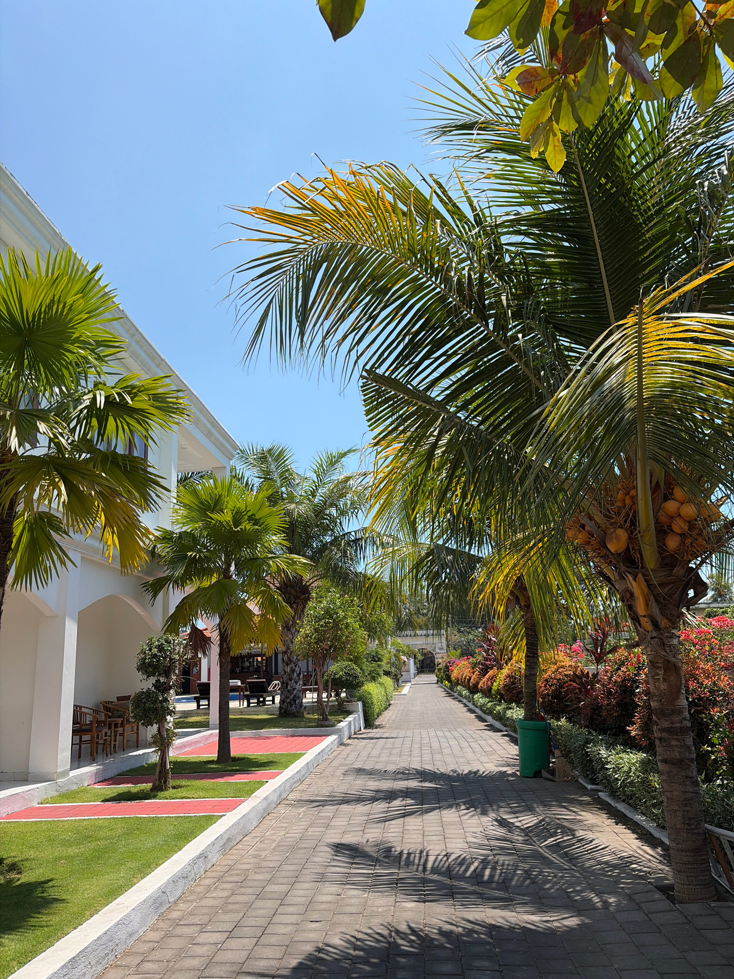 The image depicts a pathway through a resort area in Banjar, Indonesia. The pathway is paved with interlocking gray bricks and is lined on the left by a white building with an arched walkway and on the right by lush greenery, flowering plants, and palm trees. Several palm trees are prominent, with one on the right side of the frame bearing a cluster of coconuts. The sky is clear and blue. The scene appears tranquil, with no people visible, suggesting a peaceful resort environment.