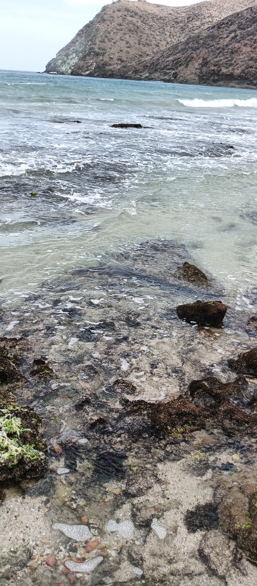 The image depicts a rocky shoreline with clear, shallow water lapping at the sand and stones. In the foreground, the seabed is visible through the water, revealing a mix of sand, pebbles, and dark, algae-covered rocks. Small white foam bubbles are scattered on the water's surface, indicating gentle wave action. In the mid-ground, darker rocks emerge from the water, creating a textured effect. The background features a choppy sea with whitecaps, leading to a large, arid, mountainous hill that dominates the horizon. The sky is overcast and pale. The scene is a natural coastal environment.