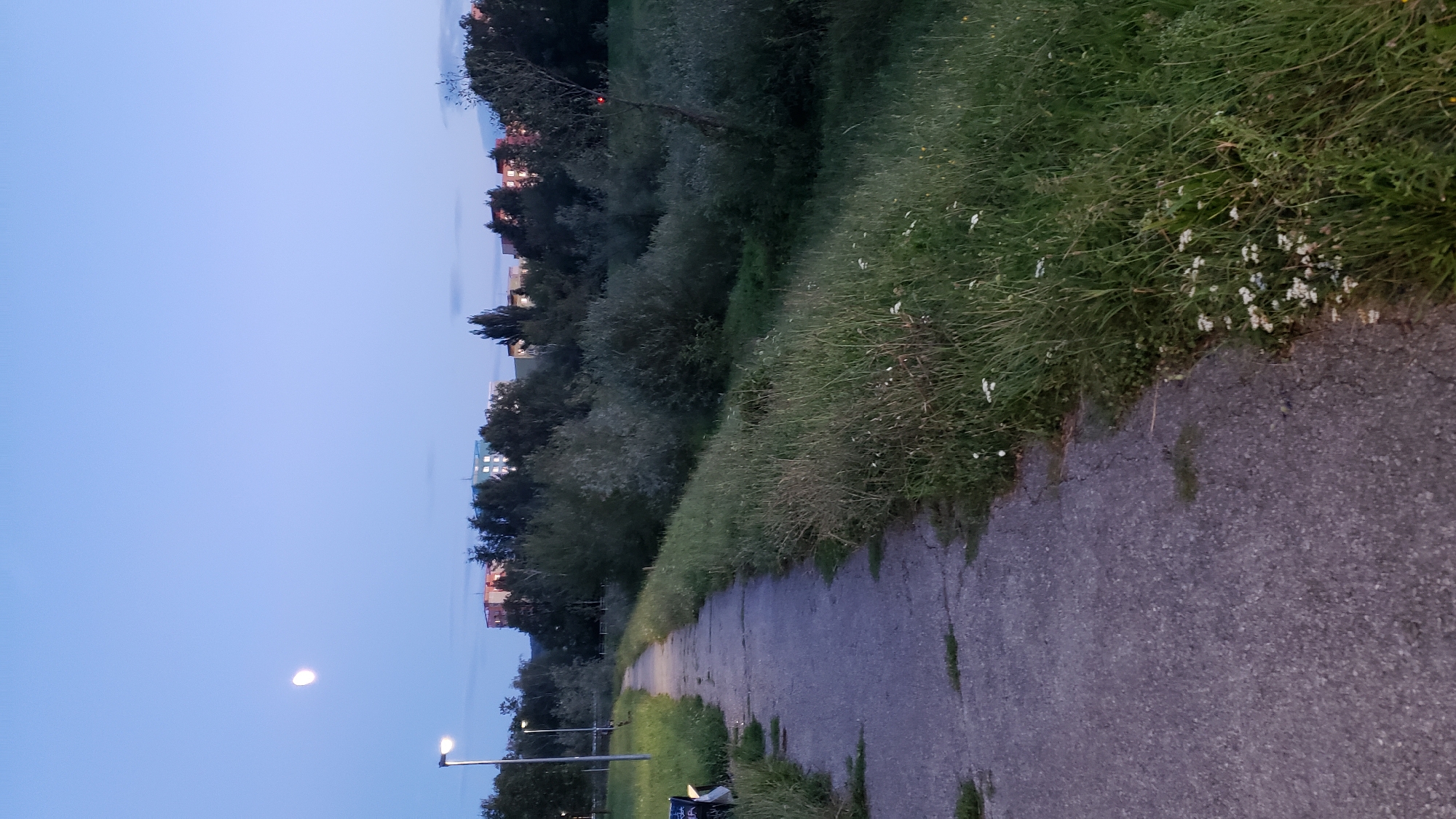 The image depicts a twilight scene in Prešov, Slovakia, near the Sekčov housing estate. A paved walkway, showing signs of wear and tear, curves into the distance on the left. Tall grass and wildflowers grow along the right side of the walkway, bordering a dense line of trees. Beyond the trees, the lights of apartment buildings are visible in the fading light. The sky is a clear, pale blue, with a crescent moon positioned high in the upper left quadrant. A street lamp stands on the left side of the walkway, its light illuminated. A bench with some graffiti is partially visible to the left of the walkway. The overall atmosphere is serene and urban-natural.