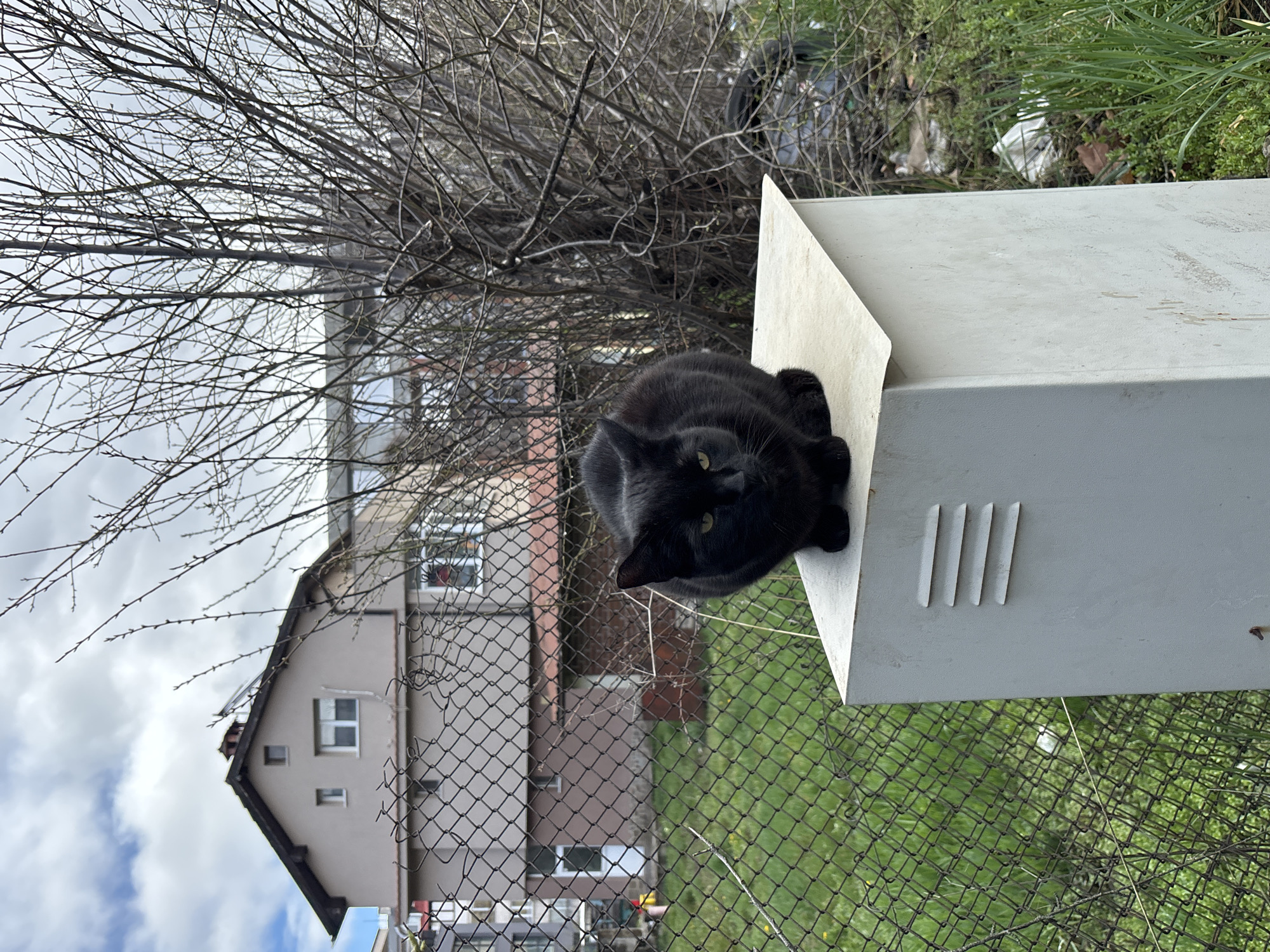 A medium shot captures a black cat perched atop a white, box-shaped structure with ventilation slits. Behind the structure, a chain-link fence separates the foreground from a grassy lawn and a residential area. In the background, a two-story house with a neutral-colored exterior is partially obscured by bare tree branches. The sky is overcast. Based on visual analysis, the location is likely Sofia, Bulgaria.