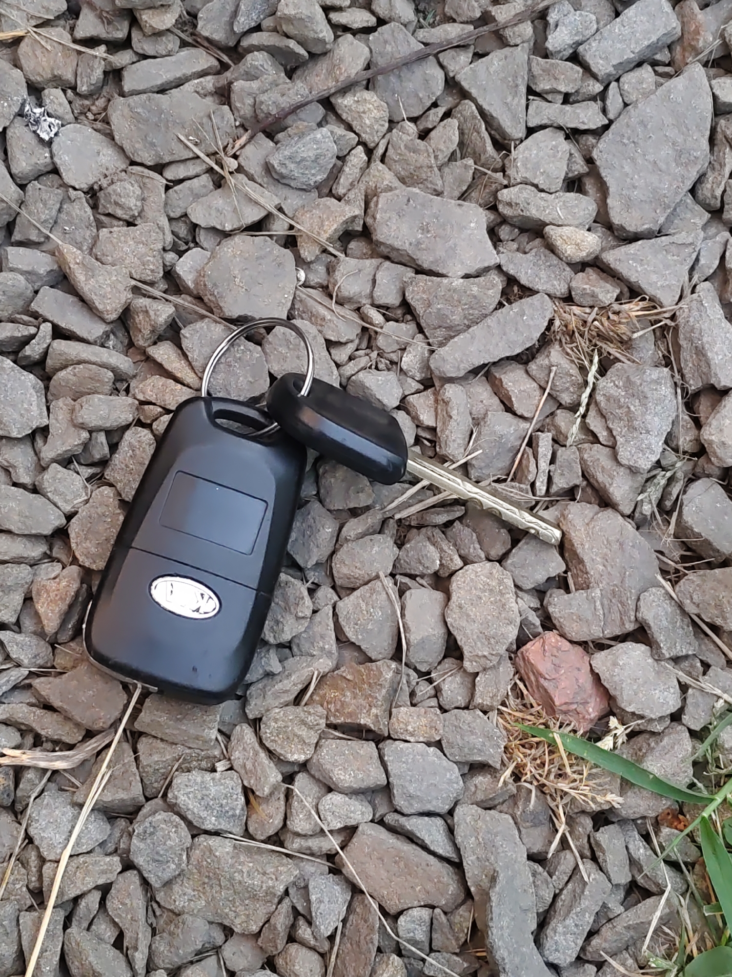 A black car key fob with a metal key is lying on a bed of gray gravel. The key fob is rectangular with rounded corners and has a blank rectangular area on its surface. Below this area is a silver oval emblem with a logo inside. The metal key is extended from the fob and has a serrated edge. The gravel is composed of small, irregular stones, with some dry grass and twigs scattered among them. The scene appears to be outdoors, likely on a roadside or pathway. This image was taken in Rostov-on-Don, Russia.