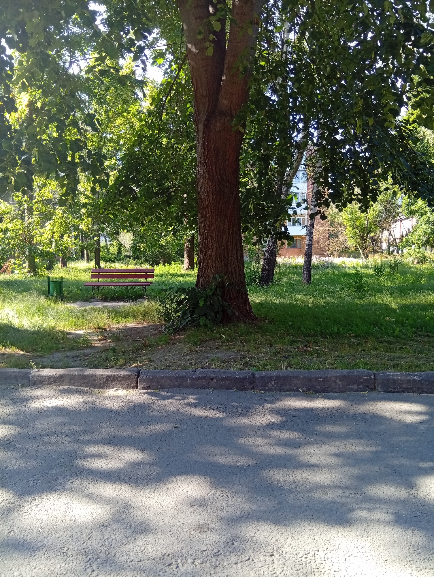 The image depicts a park scene in the city of Zviahel, Ukraine. In the foreground, a paved surface, likely a sidewalk or road, is visible with dappled sunlight creating shadows from overhead trees. A concrete curb separates the paved area from a grassy lawn. On the lawn, a red park bench sits under the shade of a large tree with a thick trunk. To the left of the bench, a green trash receptacle is positioned. The background is filled with lush green trees and vegetation, with glimpses of buildings visible through the foliage. The overall impression is a peaceful, sunlit urban park.
