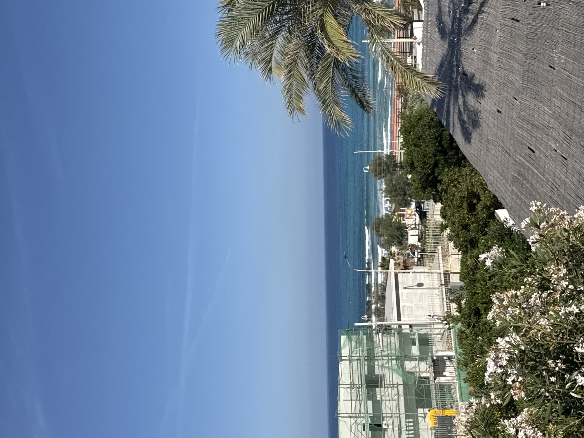 The image displays a bright, sunny coastal scene, likely in Capaci, Italy, as indicated by the context. The dominant feature in the upper part of the frame is a clear, vibrant blue sky, gradually becoming a lighter shade closer to the horizon. Below the sky, a calm, deep blue sea stretches horizontally across the mid-ground, with gentle white-capped waves visible near the distant shore.
On the right side of the scene, a large palm tree extends into the frame from the top, its lush green fronds creating natural framing. Below the palm, a distinct shadow of its foliage is cast upon a textured, dark gray surface that appears to be a wooden structure or roof, possibly part of a building or a thatched canopy, sloping from the upper right towards the lower middle.
The lower half of the image showcases the coastline, featuring abundant green foliage, including dense bushes and trees. Towards the bottom right, white-flowering bushes, likely oleander, add a touch of vibrancy to the greenery. Amidst the vegetation, several buildings and structures are visible along the coast. Some appear to be undergoing construction, marked by the presence of scaffolding covered in green netting. Street lights or utility poles are scattered throughout this coastal strip.
The scene depicts a serene and peaceful daytime setting, characterized by the clear weather and bright sunlight, which creates strong shadows. There are no people or specific activities visible, and no discernible text is present in the image.