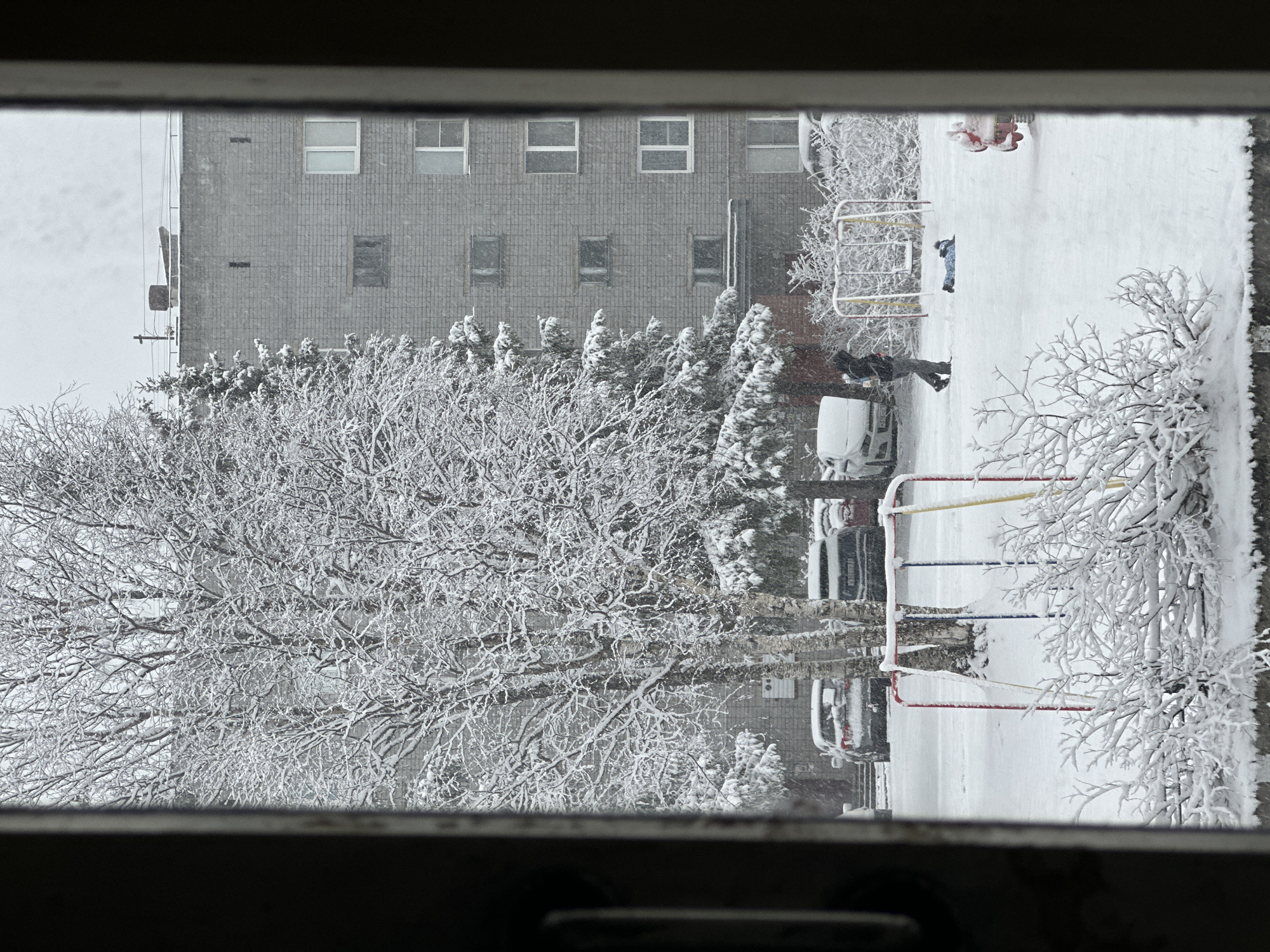 A view through a window shows a snow-covered urban scene. A large tree laden with snow occupies the lower left. Behind the tree is a multi-story building with a grey facade and rectangular windows. In the center of the scene, a person is shoveling snow near a snow-covered car. A children's playground with colorful structures is visible on the right, also covered in snow. The scene suggests a heavy snowfall in a residential area of an unknown city.