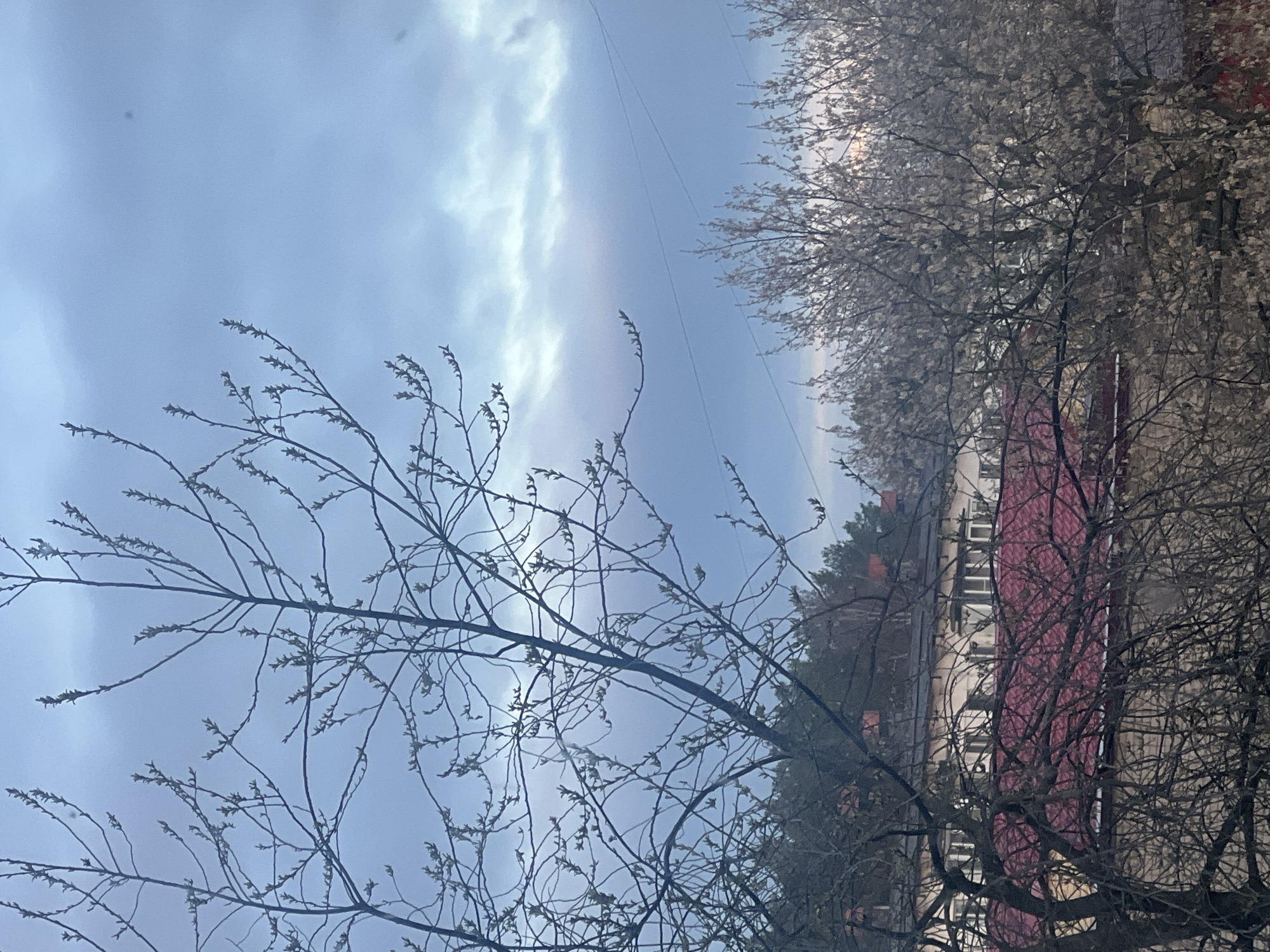 A medium shot, taken at eye-level, captures a cloudy sky above a building in Chaikovsky, Russia. A prominent tree branch is in the foreground, obscuring part of the sky. The building is a multi-story structure with a red roof. Other trees are in the scene, partially blocking the building.