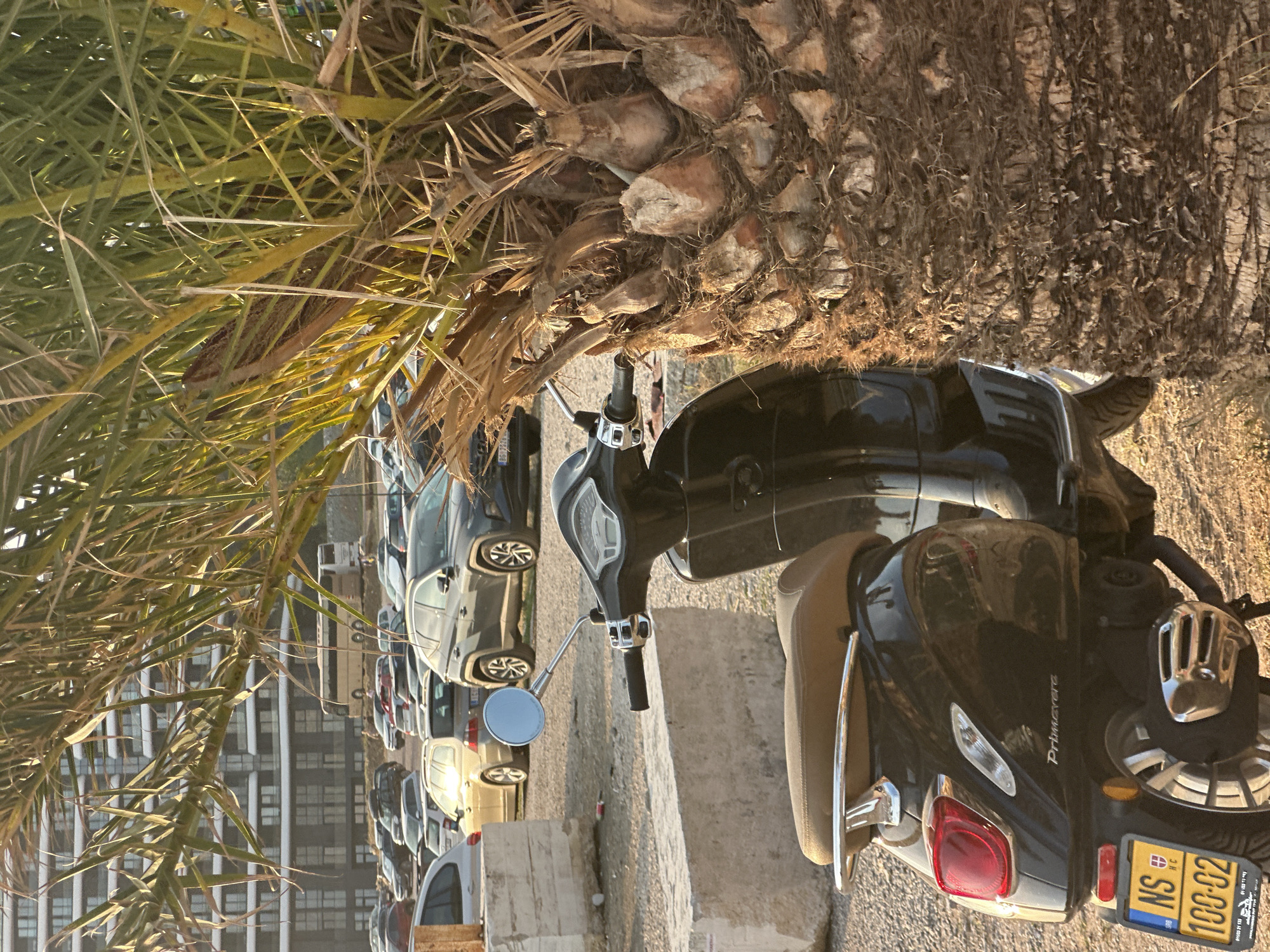 A black Vespa scooter is parked on a gravel surface in front of a thick palm tree trunk. The scooter has a brown seat and a yellow license plate with black lettering that reads "NS 100-02". In the background, a parking lot is filled with various cars and a bus, with a modern building visible behind them. The scene is illuminated by the warm light of the sun. The location is identified as Boreti, Montenegro.