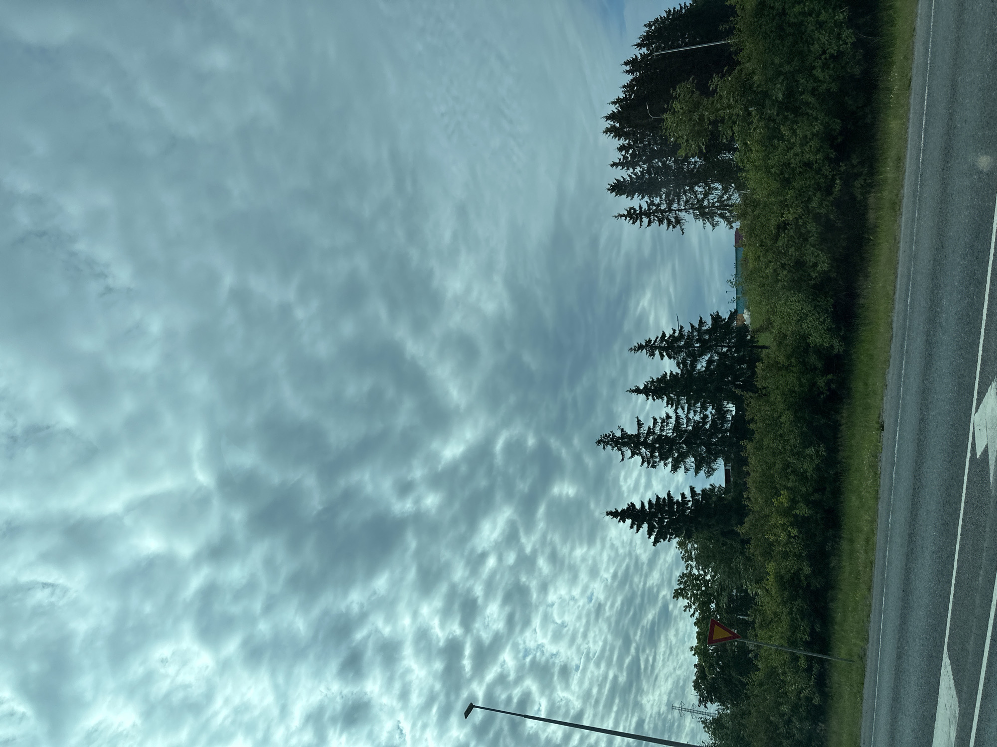 The image depicts a roadside view under a cloudy, overcast sky. A multi-lane asphalt road occupies the foreground, with white lane markings visible. To the right of the road, a dense line of green bushes and trees forms a natural barrier. Several tall, dark green coniferous trees are interspersed within this foliage, reaching towards the sky. A single yellow and red triangular road sign, likely a yield sign, is mounted on a pole to the left of the trees. Further in the background, a streetlamp and a power pylon are visible, along with hints of buildings peeking through the trees. The sky is filled with a dense, textured layer of clouds that create a mottled, greyish-blue appearance.