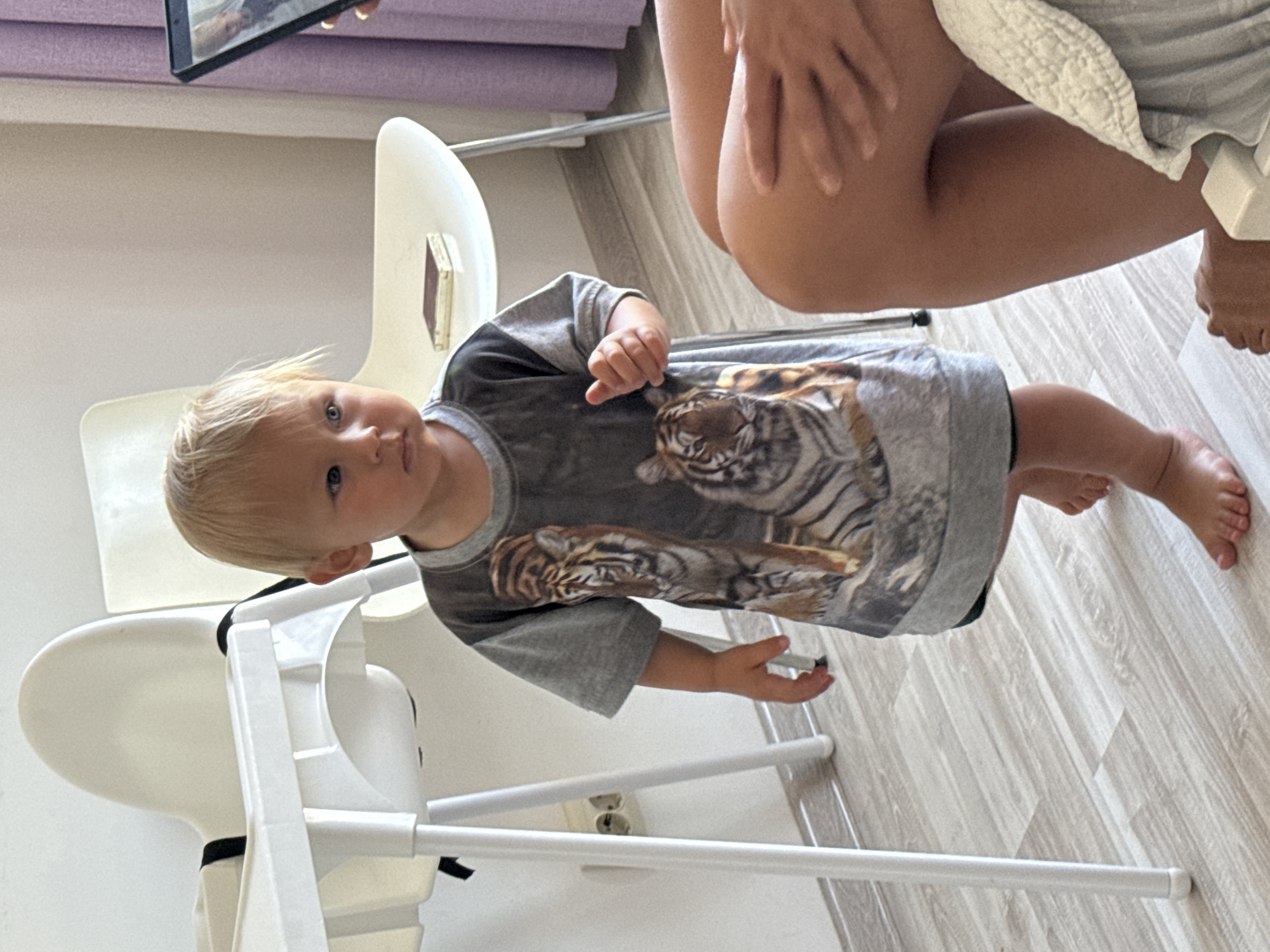 A young child with blond hair stands on a wooden floor, looking to the right of the frame. The child is wearing a grey t-shirt with a tiger print. To the left of the child is a white high chair with black straps. In the background, there are two white chairs. A tablet computer is held by an unseen person on the right side of the frame, displaying a picture of the child. The scene appears to be indoors, likely in a residential setting. The location is not specified to be in Sochi, Russia.