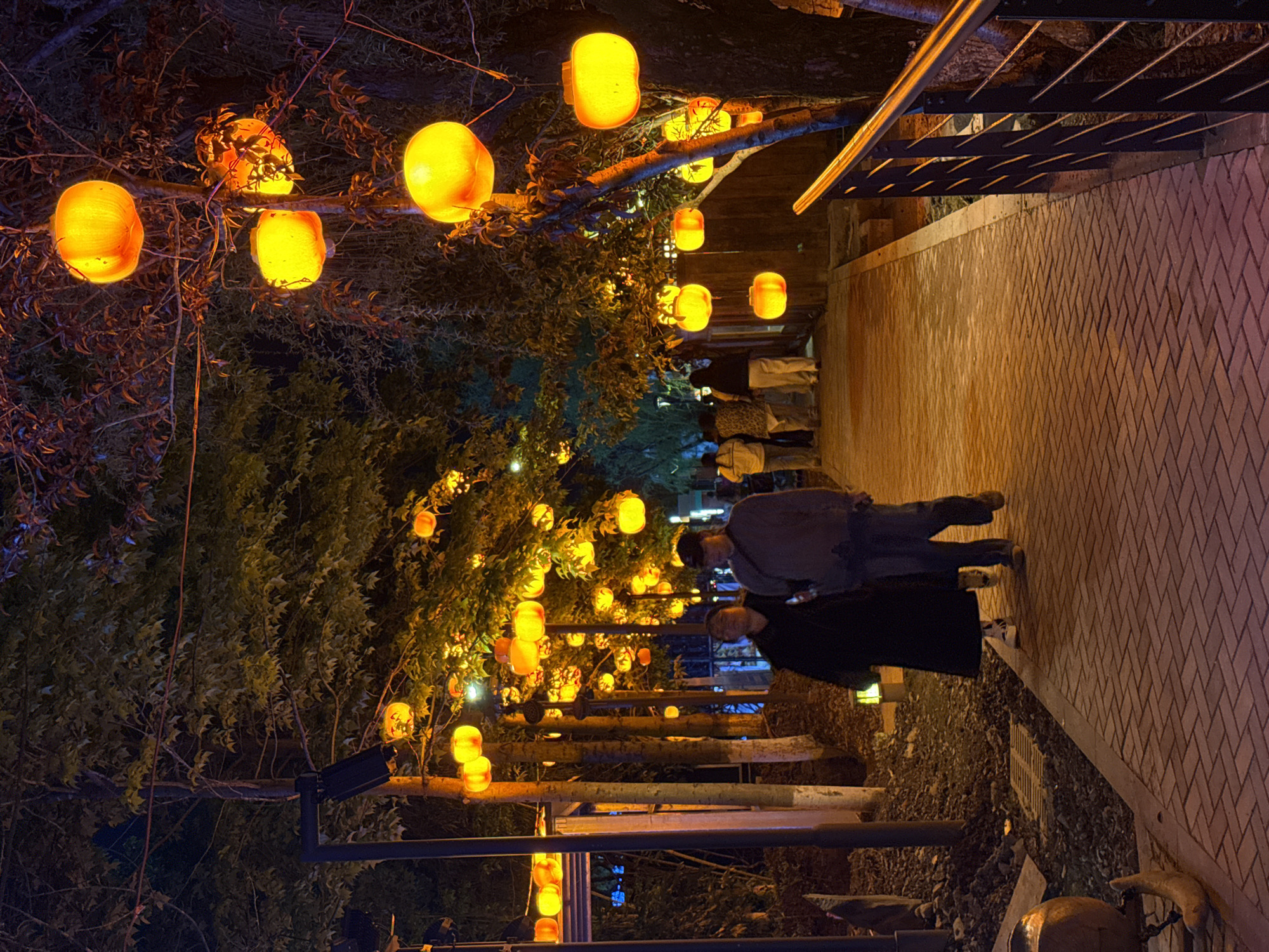 The image captures a vibrant nighttime scene along an outdoor pathway in Wulingyuan, China. Numerous glowing yellow and orange lanterns are artfully arranged on the branches and among the foliage of trees that line the path, creating a warm, festive, and almost magical atmosphere.
Several people are visible walking along the pathway, engaged in a leisurely stroll. Two individuals are prominent in the midground, with others further down the illuminated path. The pathway itself is paved with bricks arranged in a herringbone pattern. A sturdy metal railing runs along the right side of the path, providing a sense of enclosure or safety.
The dense tree canopy, with its dark leaves and branches, is dramatically lit by the warm glow of the lanterns, highlighting textures and shapes. The lanterns appear to be suspended or resting directly on the branches, casting a rich, inviting light. In the distance, beyond the immediate path, faint blue and white artificial lights suggest other structures or activity. The scene evokes a tranquil evening event or a beautifully decorated public space. There is no visible text in the image.