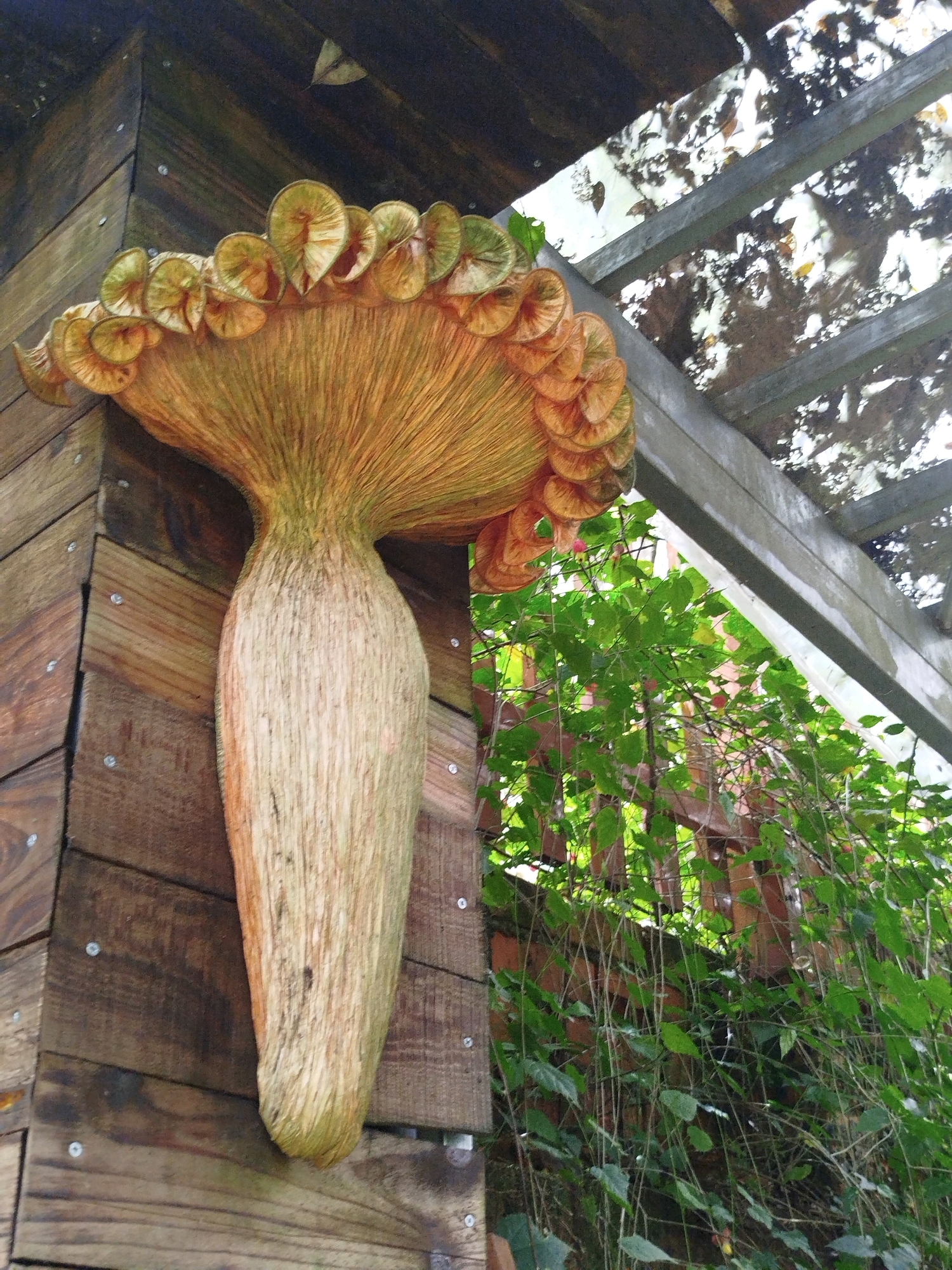 This image depicts a close-up, low-angle view of a large, sculpted mushroom art installation mounted on a wooden structure. The mushroom has a thick, textured stem and a wide cap adorned with numerous frilled, layered structures that resemble gills. The color palette is predominantly earthy tones of brown, orange, and yellow, with hints of green on the mushroom's cap. The wooden structure is made of rough-hewn planks, some of which are weathered and show visible nails.
In the background, lush green foliage and thin branches are visible, suggesting an outdoor setting, possibly a garden or a park. The light filtering through the canopy above casts dappled shadows on the scene. There are no people or animals present in the image. The overall impression is one of whimsical, naturalistic art in an outdoor environment. This type of garden art installation is commonly found in tourist spots and private gardens in Da Lat, Vietnam, a city known for its picturesque landscapes and creative floral and sculptural displays.