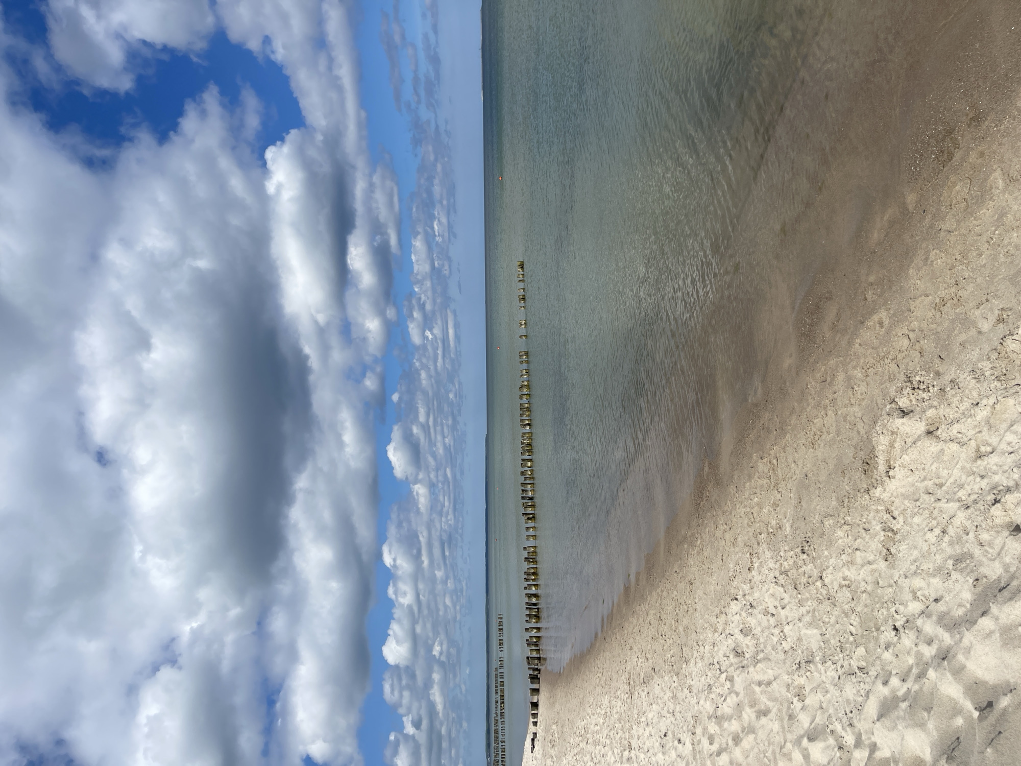 This is a landscape photograph depicting a calm coastal scene, likely a beach in Zelenogradsk, Russia, under a bright sky.
The upper portion of the image is dominated by a clear blue sky interspersed with large, fluffy white and grey cumulus clouds, suggesting fair weather. Below the sky is the sea, appearing calm with gentle ripples visible on its surface. The water has a muted, slightly greenish-grey hue, characteristic of a shallow bay or coastal area.
A prominent feature extending horizontally from the sandy shore into the sea is a long line of wooden breakwaters or groynes. These structures consist of numerous evenly spaced wooden posts, some partly submerged and others rising above the water line, stretching far into the distance. There are also a couple of small, orange buoys visible further out in the water near the horizon.
The lower portion of the image showcases a wide expanse of pale beige sand. The sand appears fine-grained and soft, with slight variations in texture and some small shell fragments visible, particularly closer to the waterline. The transition between the wet sand and the shallow water is subtle, indicating a gentle slope.
The image captures a serene daytime setting. There are no people or discernible activities taking place. No visible text is present in the photograph. The overall impression is one of peaceful natural beauty with human-made elements integrating into the coastal landscape.