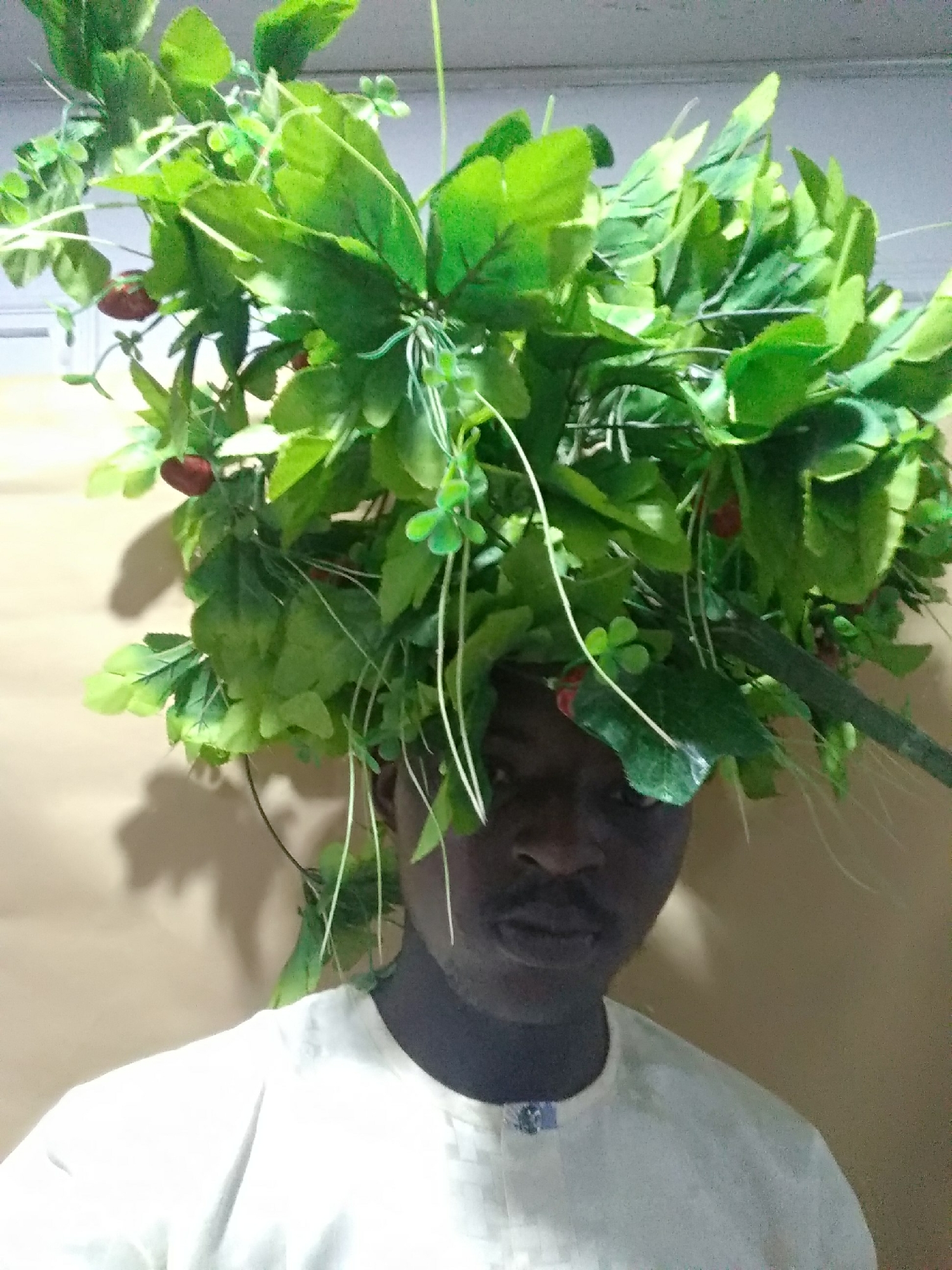 A man stands indoors against a beige wall, wearing a white shirt with a small blue-toned emblem on the collar. He is adorned with a large headpiece of green foliage, including leaves, vines, and small red berries. The location is in the city of Unknown, Unknown.