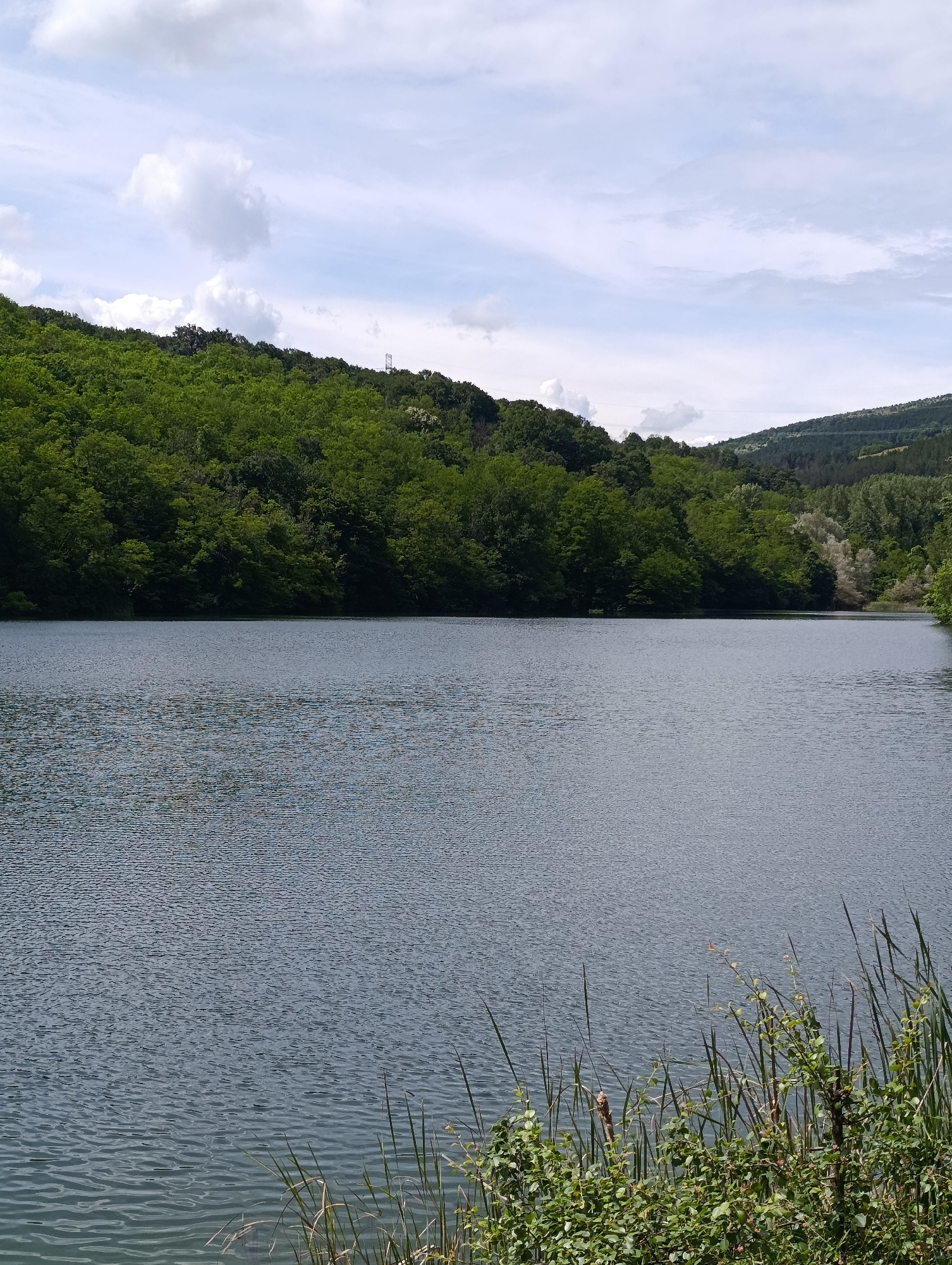 The image depicts a serene lake surrounded by a lush, green forest. The water's surface is calm, with gentle ripples reflecting the overcast sky. The trees, densely packed and vibrant, form a thick canopy along the shoreline, leading up to rolling hills in the background. The sky is a mix of pale blue and soft white clouds. In the foreground, reeds and bushes grow along the edge of the water, adding a touch of wildness to the scene. The overall impression is one of natural beauty and tranquility. This scene is located in the vicinity of Nevestino, Bulgaria, a region known for its picturesque landscapes and natural reservoirs.