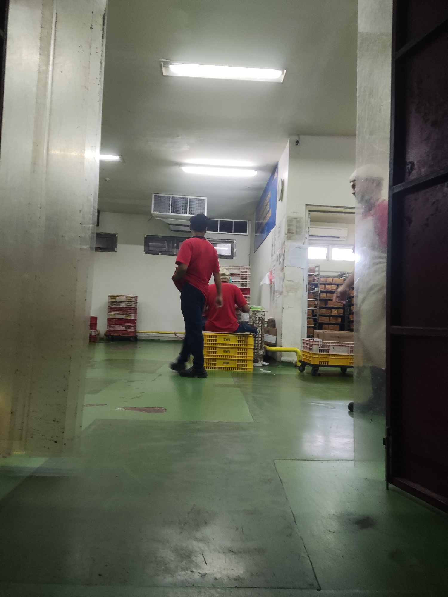 The image depicts an interior view of a facility, possibly a food processing plant or warehouse, in Trihanggo, Indonesia. The scene is dimly lit, with fluorescent lights visible on the ceiling. The floor is a muted green color, with some scuff marks and discoloration.
In the foreground, a person wearing a red shirt and dark pants is walking away from the camera towards the left. They are carrying a red bag over their shoulder. Behind them, another person in a red shirt is seated on yellow plastic crates.
Various objects are scattered throughout the scene. To the left, stacks of red and white crates are visible. In the middle ground, more yellow plastic crates are present, some of which are stacked. Further back, shelves filled with brown boxes or products are against the wall. A yellow wheeled cart is also visible.
The environment suggests an industrial or commercial setting, likely involved in storage or packaging. The presence of crates and shelving indicates a functional workspace. The overall atmosphere is utilitarian and suggests ongoing operations within the facility.