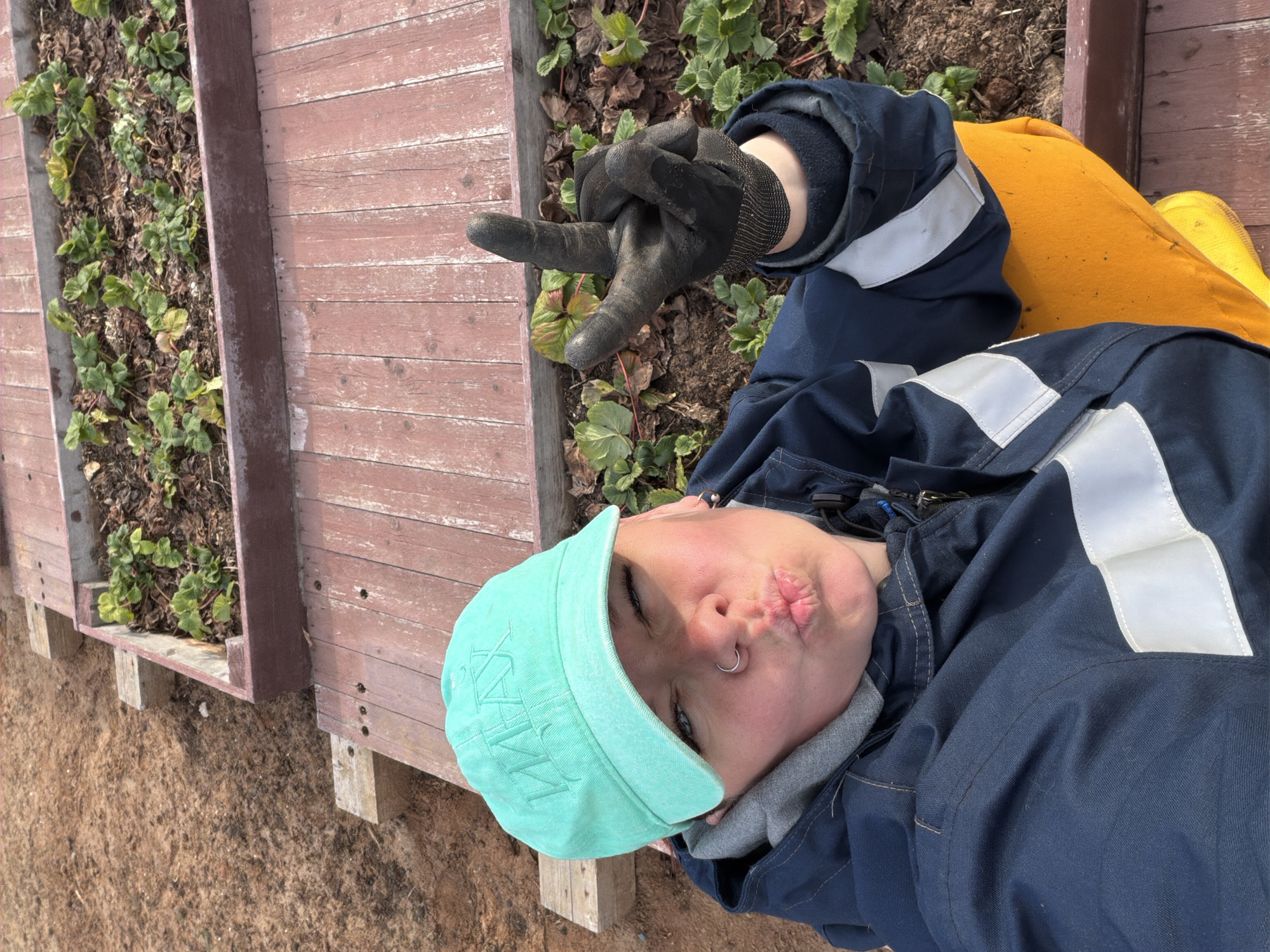 The image depicts a person lying on their side next to a raised garden bed in what appears to be an outdoor location. The person wears a light blue baseball cap, a dark blue jacket with reflective stripes, and yellow pants. They have a gardening glove on their right hand and are making a hand gesture. The raised garden bed contains soil and plants. The ground around the garden bed is bare. Without additional information, a specific location in Chaikovsky, Russia cannot be determined.