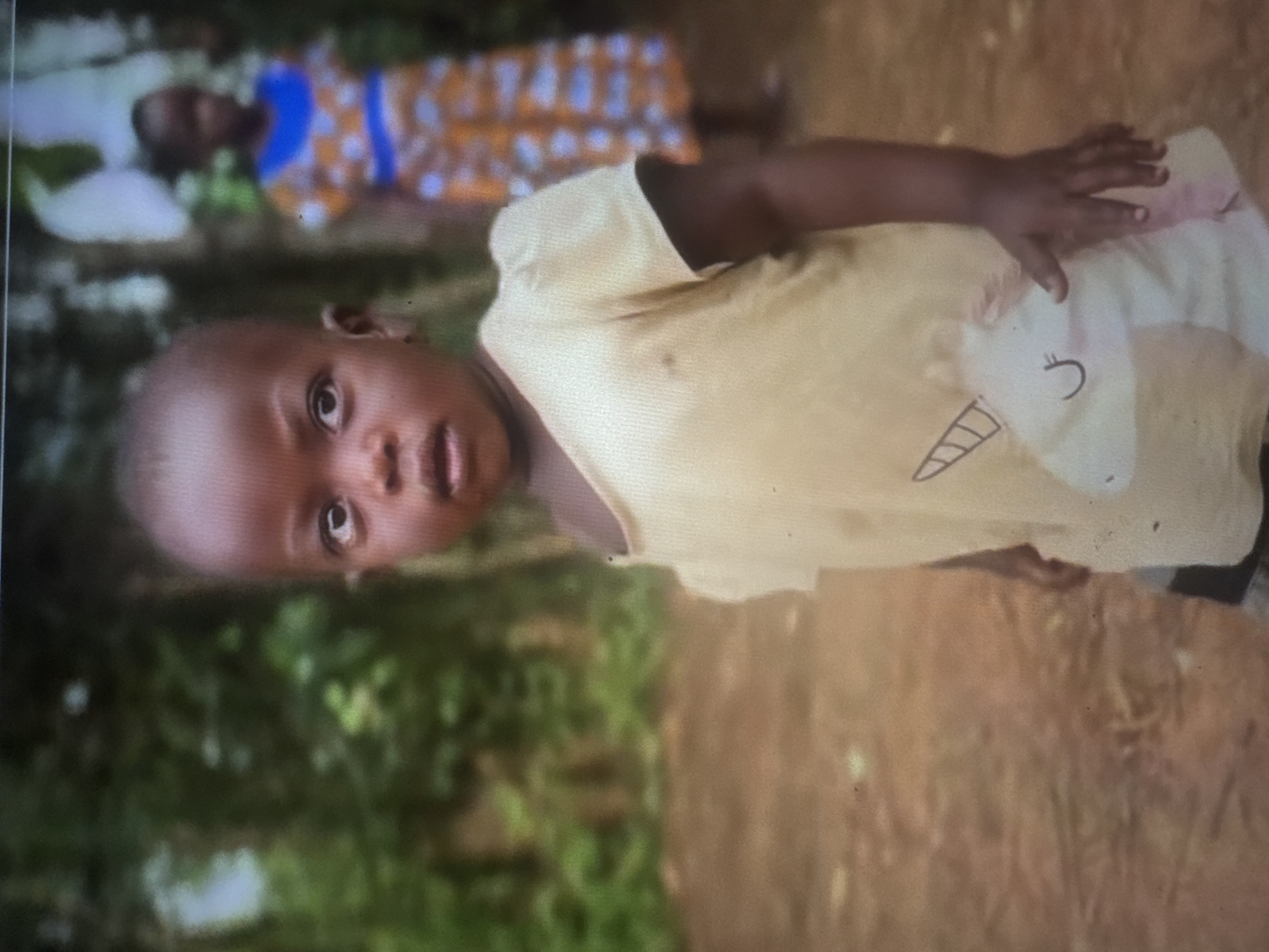 The image shows a close-up of a young child in the foreground, facing slightly to the left and looking upwards. The child has dark skin and is wearing a light yellow t-shirt with a cartoon unicorn design. The background is blurred, with lush green foliage and a dirt path. In the middle ground, another child is visible, wearing a patterned dress. The scene appears to be an outdoor, natural setting. There is no identifiable information in the image to suggest the location is in Abuja, Nigeria, or any other specific city.