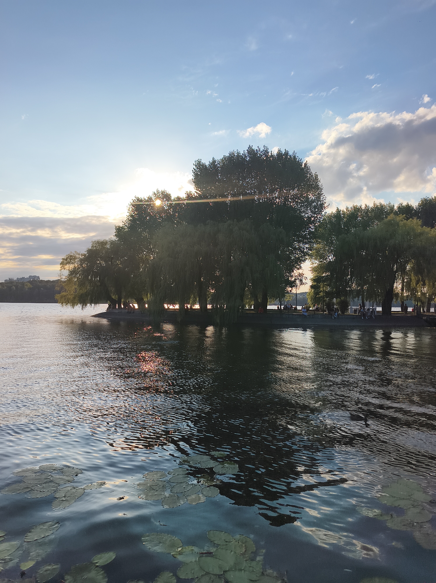 The image depicts a scene at Ternopil Lake in Ternopil, Ukraine, during what appears to be late afternoon or early evening. The sun is low in the sky, casting a warm glow and creating a reflection on the water. The foreground is dominated by the rippling surface of the lake, with lily pads visible near the bottom of the frame.
In the middle ground, a narrow strip of land forms a peninsula or island, densely covered with trees, including several weeping willow trees that drape their branches towards the water. Along the edge of this landmass, people are visible, some sitting and others standing, appearing to be enjoying the scenery. A walkway or path is discernible behind the trees.
The background reveals a distant cityscape with buildings and more trees on the horizon. The sky above is a mix of blue with scattered white clouds, and the sunlight filters through the trees, creating lens flares in the image. The overall atmosphere is serene and tranquil, typical of a park or recreational area by a body of water.