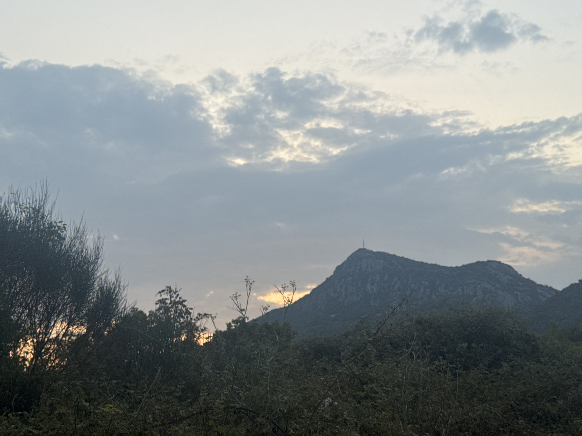 The image captures a serene mountain landscape at dusk, likely in the vicinity of Sutomore, Montenegro. A prominent, rugged mountain dominates the background, its peak crowned with a small, solitary structure, possibly a communication tower. The sky above is a canvas of soft, muted blues and grays, with streaks of pale yellow and orange peeking through scattered, wispy clouds, indicating the setting sun. In the foreground, a dense layer of dark green foliage and branches of trees obscures the lower part of the scene. Among the vegetation, slender, dry stalks with seed heads are visible, adding a touch of delicate texture against the backdrop of the imposing mountain and cloudy sky. The overall impression is one of natural tranquility and the fading light of day.