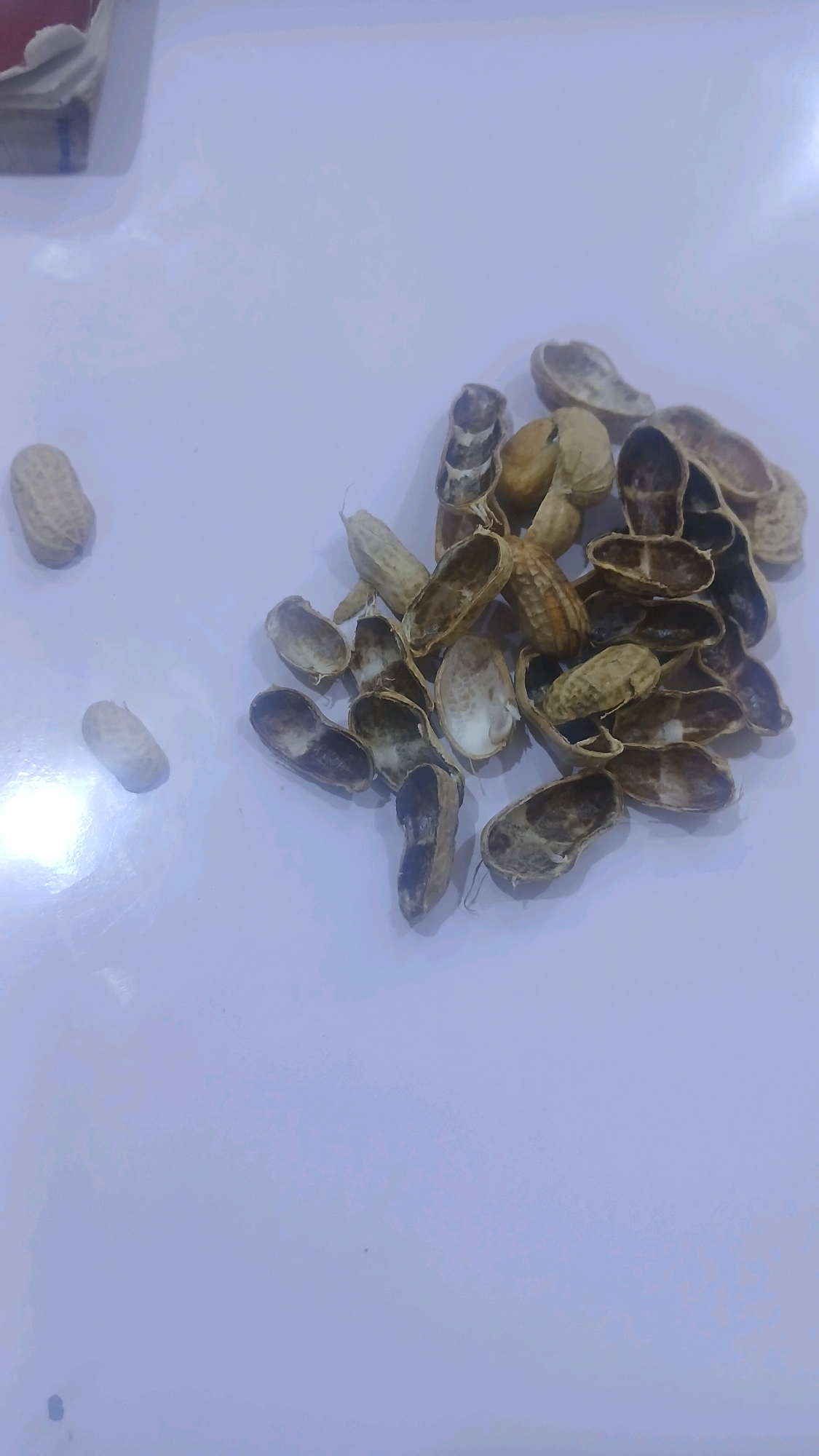 The image shows a pile of peanut shells on a white, reflective surface. There are also two whole peanuts in the upper left of the frame and two more scattered to the left of the pile. The peanut shells are open, revealing their hollow interiors. Some of the shells have dark markings on them, possibly from the peanuts. The lighting in the image is somewhat harsh, creating reflections on the surface. The background is blurred and out of focus. The scene does not contain any identifiable elements that would suggest a specific location within Gura Top, Nigeria.