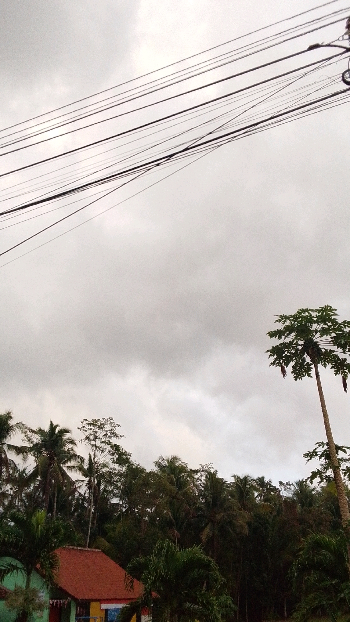 This image depicts a cloudy sky over a semi-rural area in Cintaratu, Indonesia. A cluster of overhead power lines stretches across the upper portion of the frame, casting faint shadows against the overcast sky. Below the power lines, a dense line of tropical trees, including palm trees, forms a natural barrier. In the foreground, the roof of a building with red tiles is visible, along with a portion of its green-painted wall. A tall, slender papaya tree stands to the right of the frame, its fruits hanging down. The overall impression is one of a humid, tropical environment under a looming, possibly rainy sky.